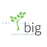 Little Big Plant Company Yxe - Grossistes de plantes d'intérieur et entretien de plantes