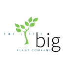 Little Big Plant Company Yxe - Indoor Plant Stores