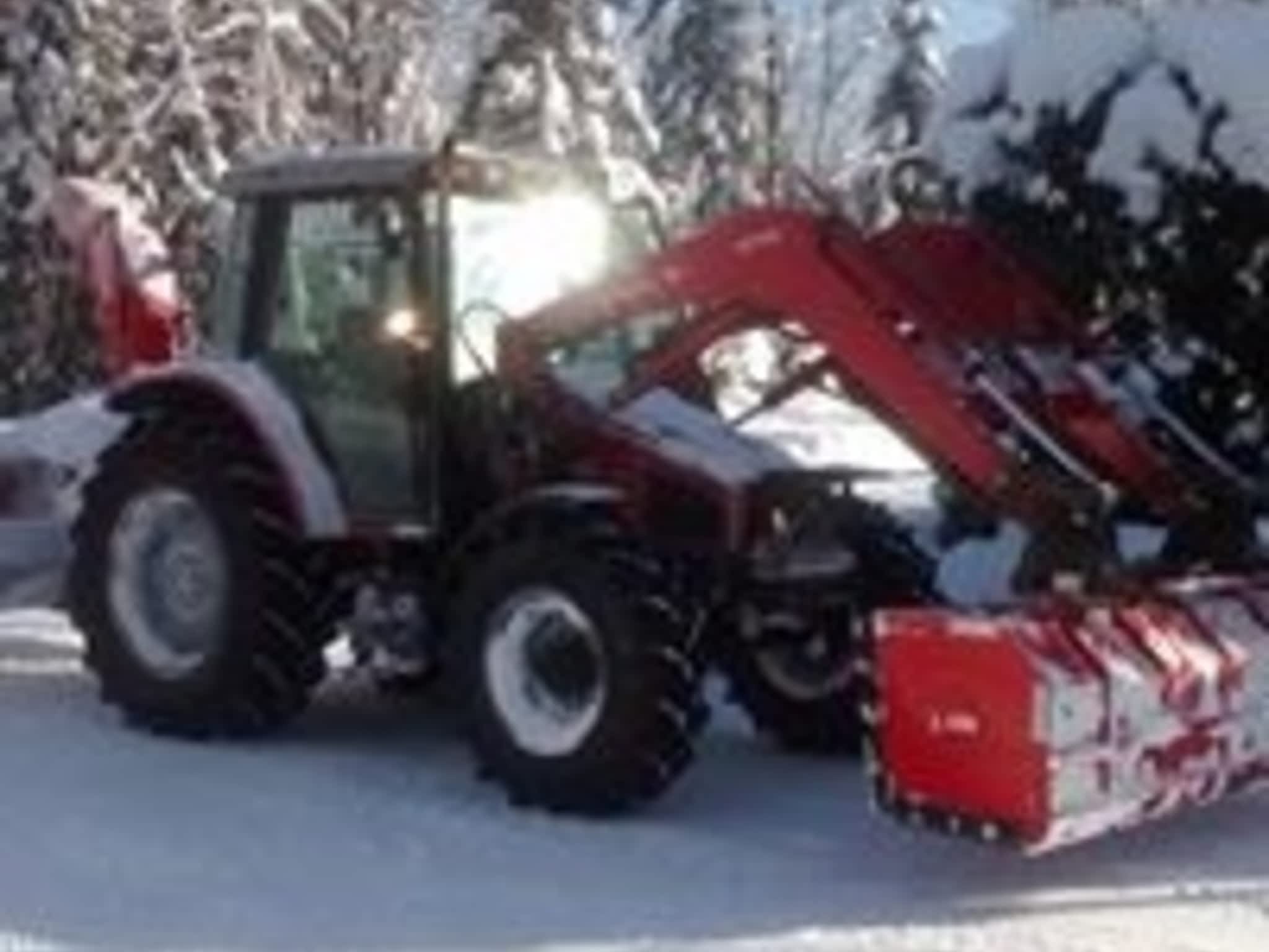 photo JRM excavation