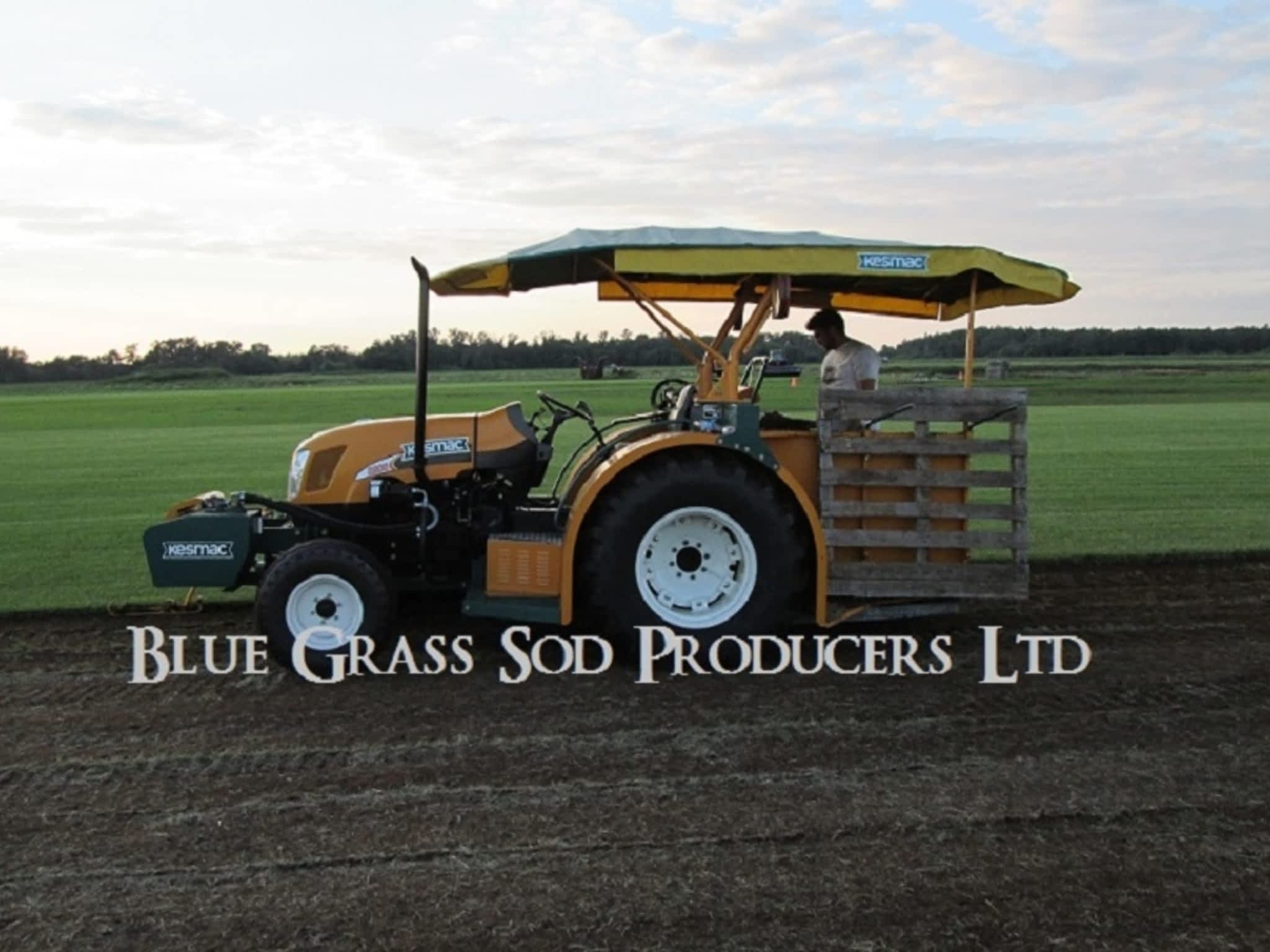 photo Blue Grass Sod Producers Ltd