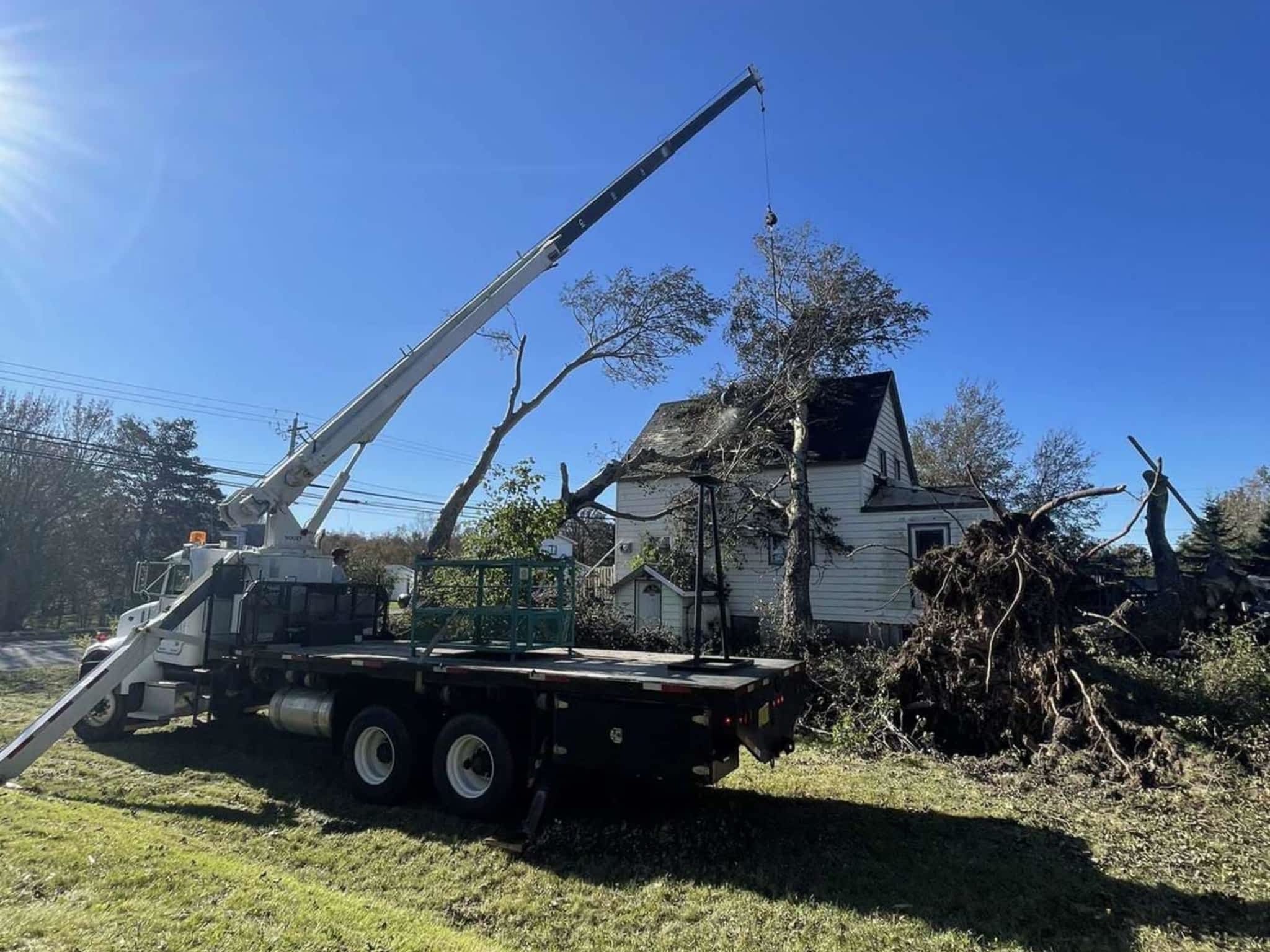 photo M&M Tree Removal And Labour Services