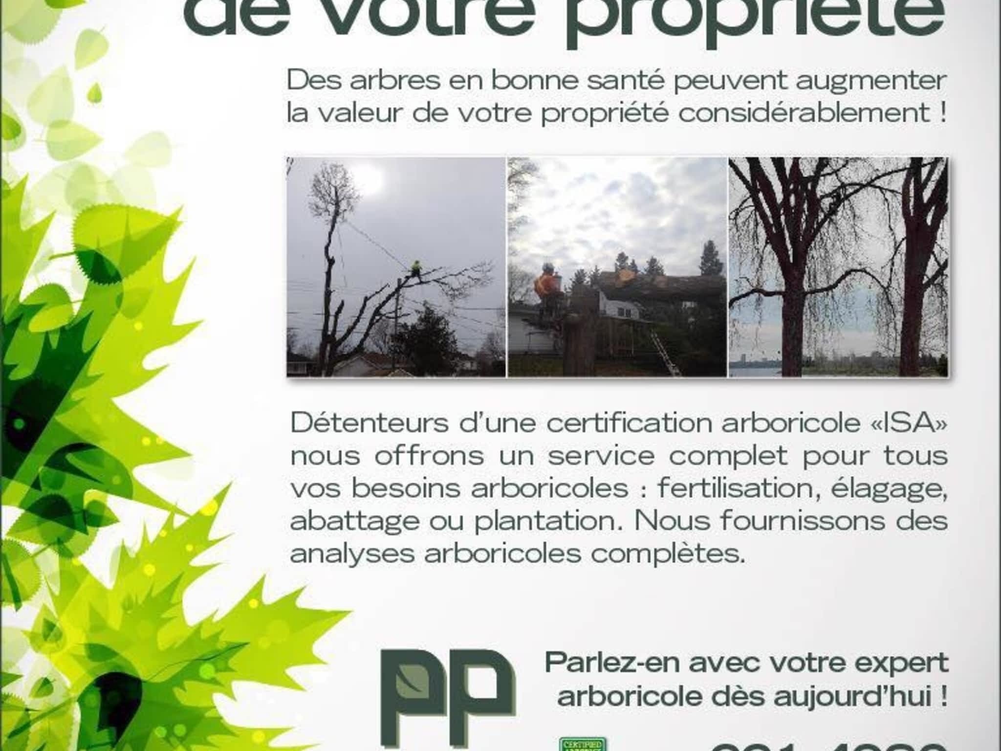 photo Emondage Patrick Perron