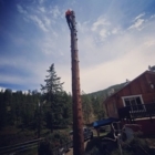 Axe Point Tree Services - Service d'entretien d'arbres