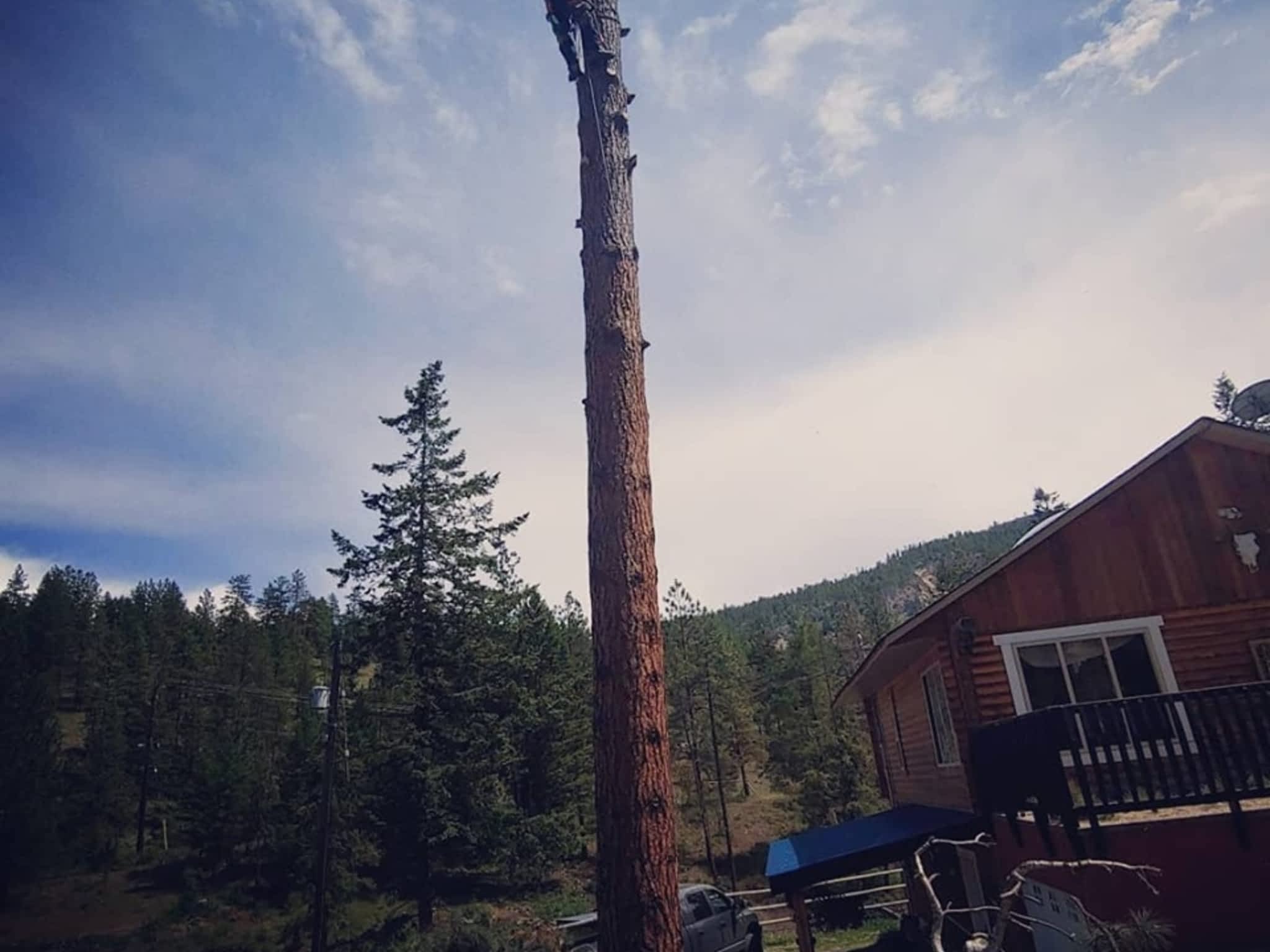 photo Axe Point Tree Services