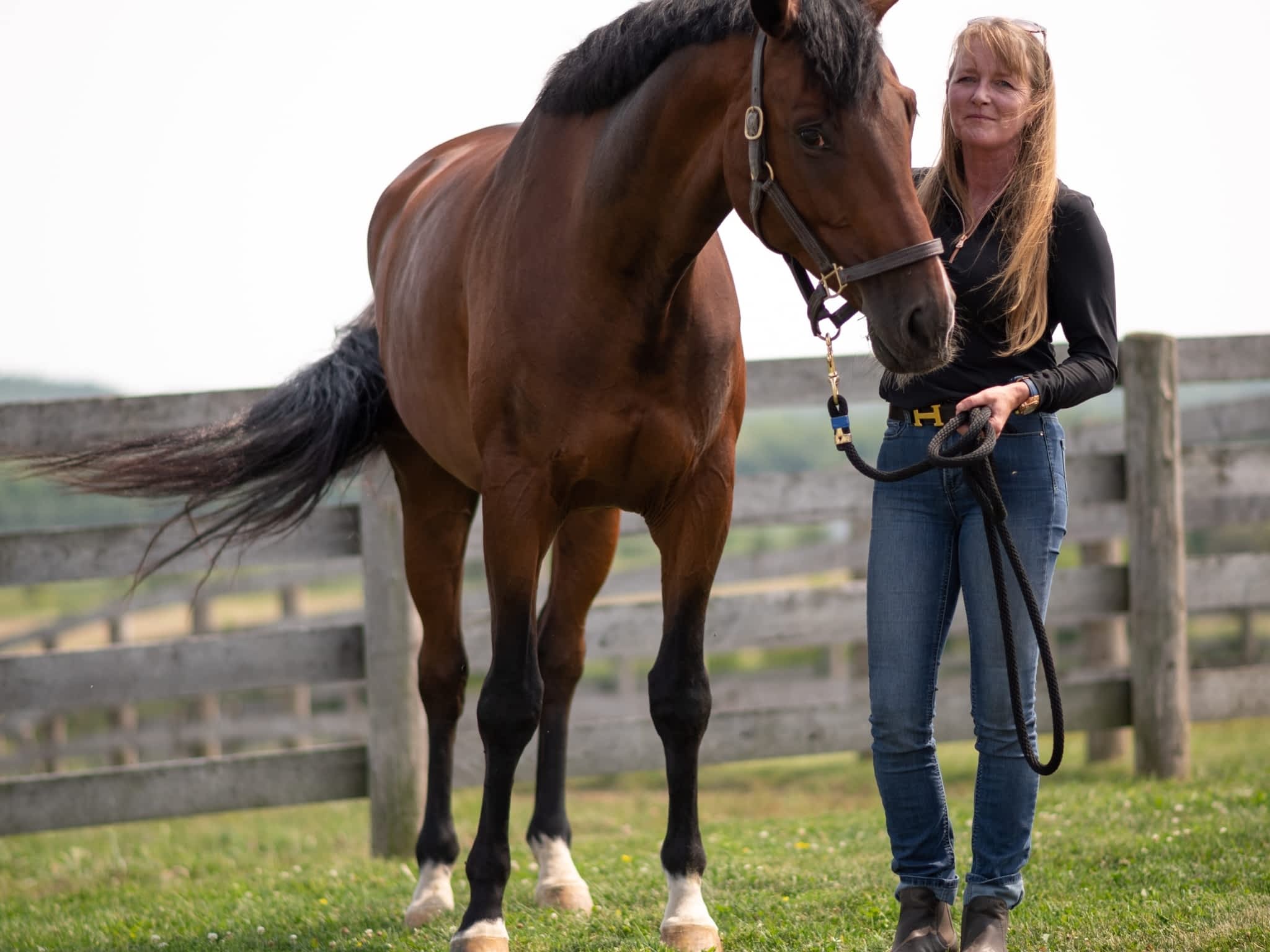 photo Get Over It Performance Horses