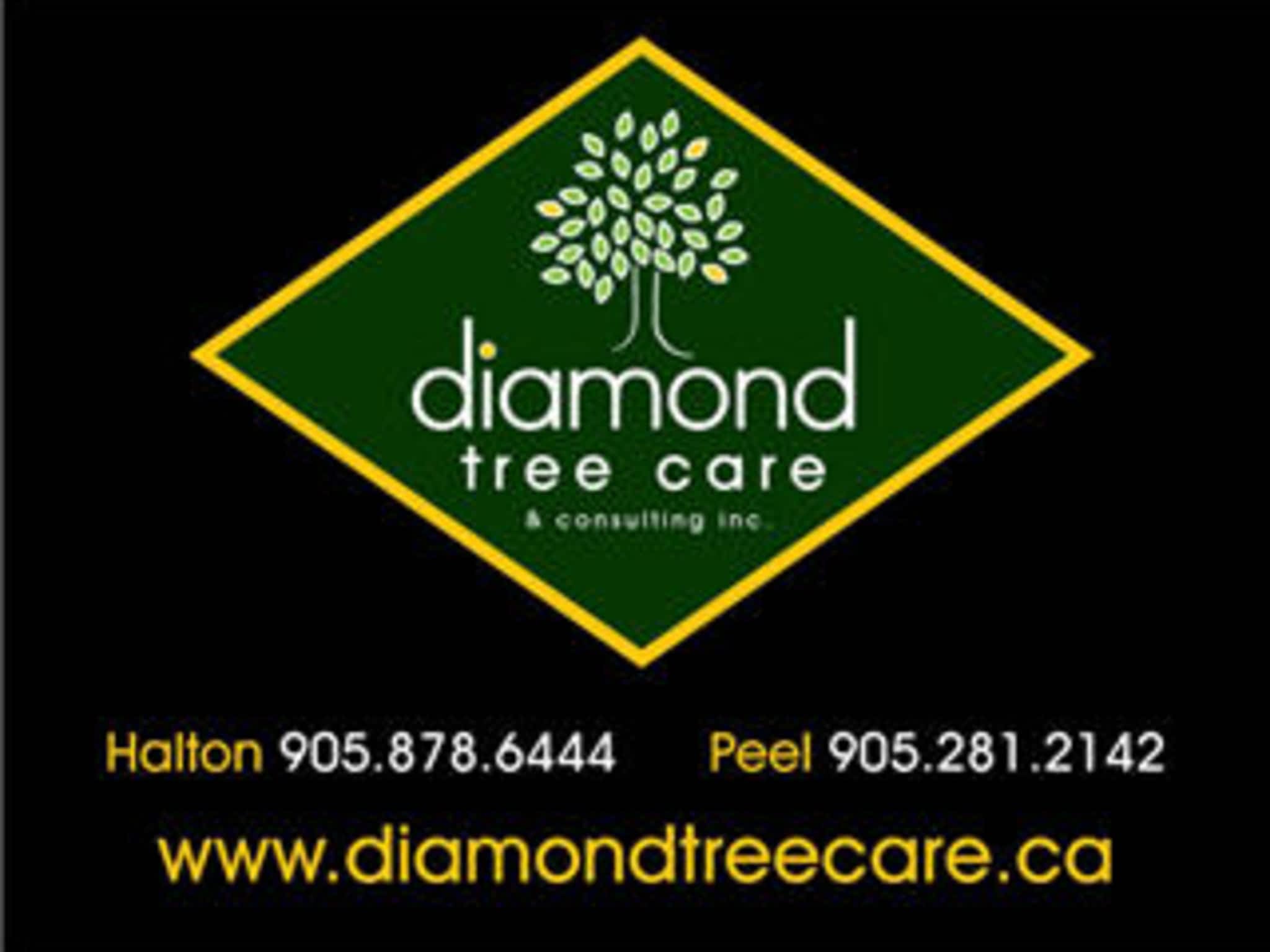 photo Diamond Tree Care & Consulting Inc