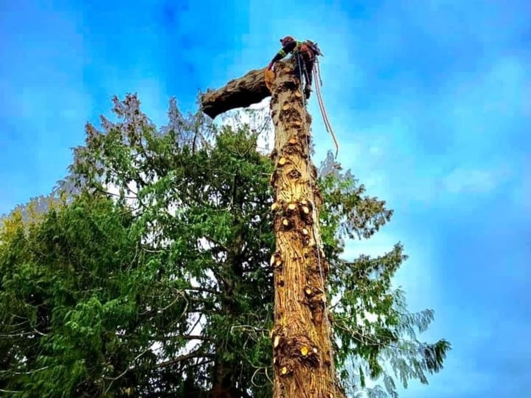 photo Flex Tree Service