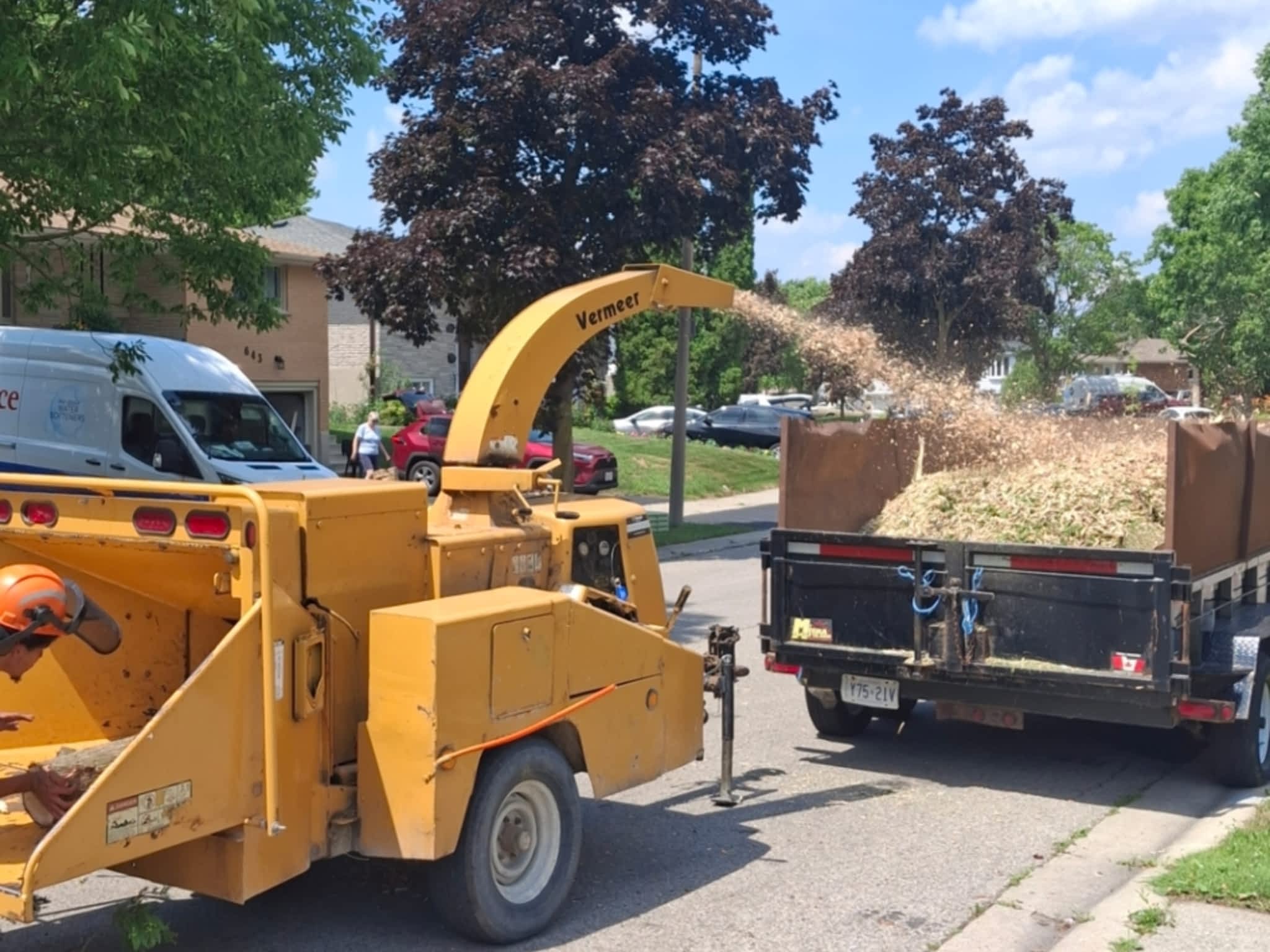 photo Kipfer Tree Service