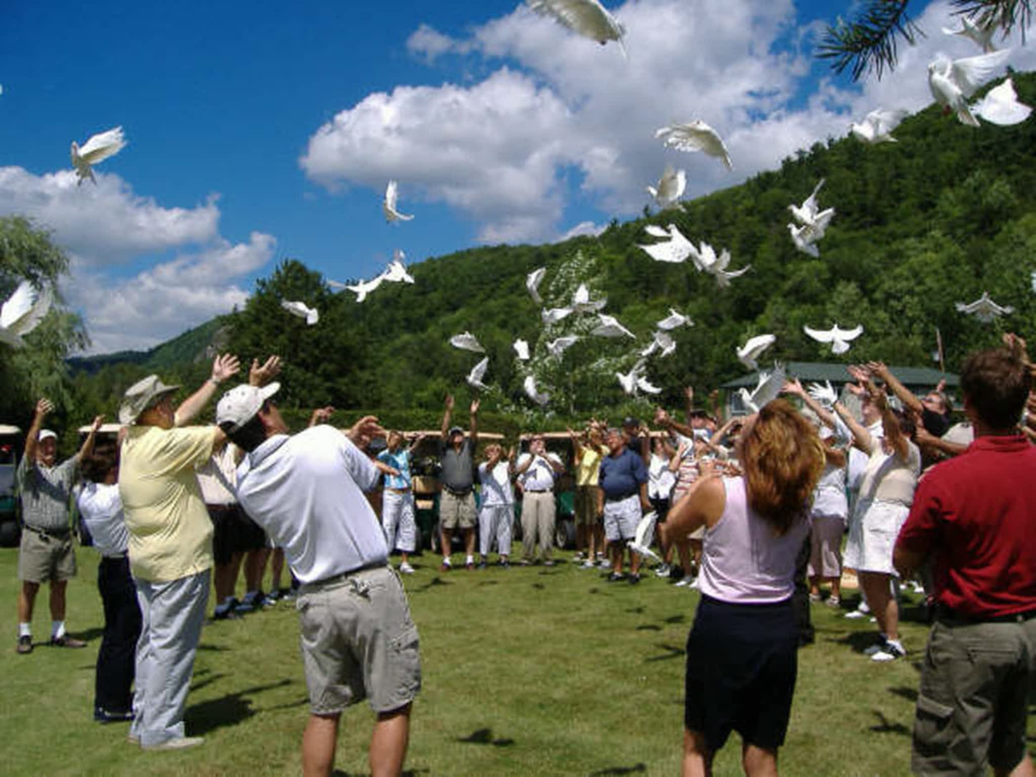 photo White Flight Dove Release