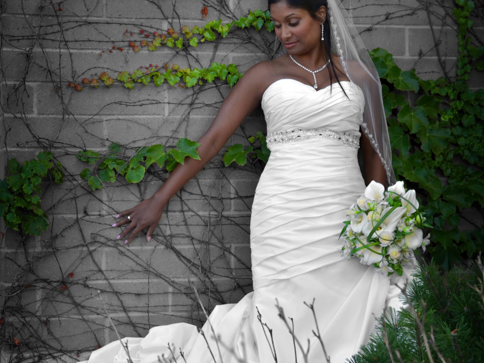 photo Light and Shadow