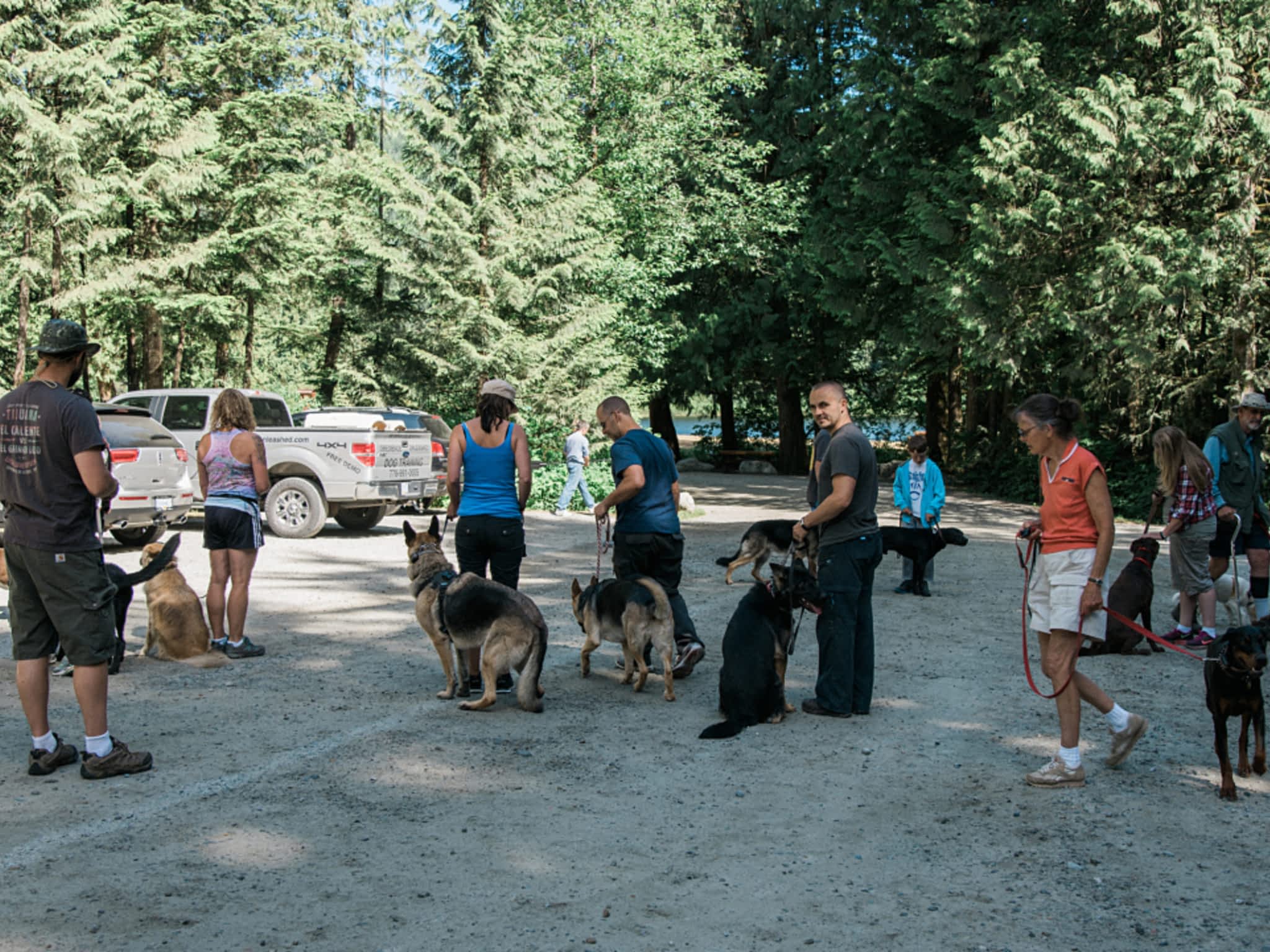 photo Obedience Unleashed Dog Training Inc