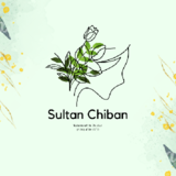 View Sultan Chiban’s St George Brant profile