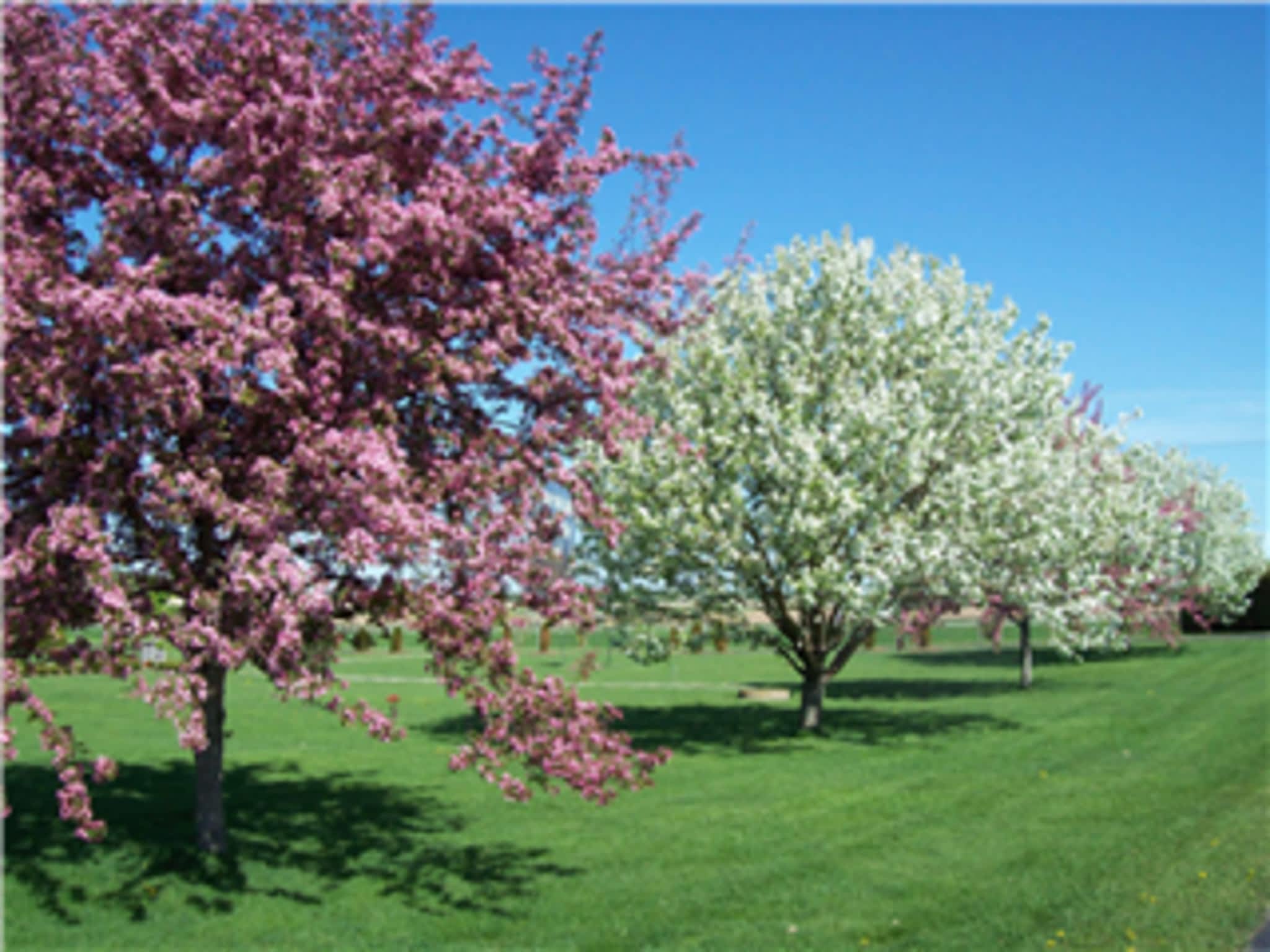 photo Innisvale Cemetery & Crematorium Ltd