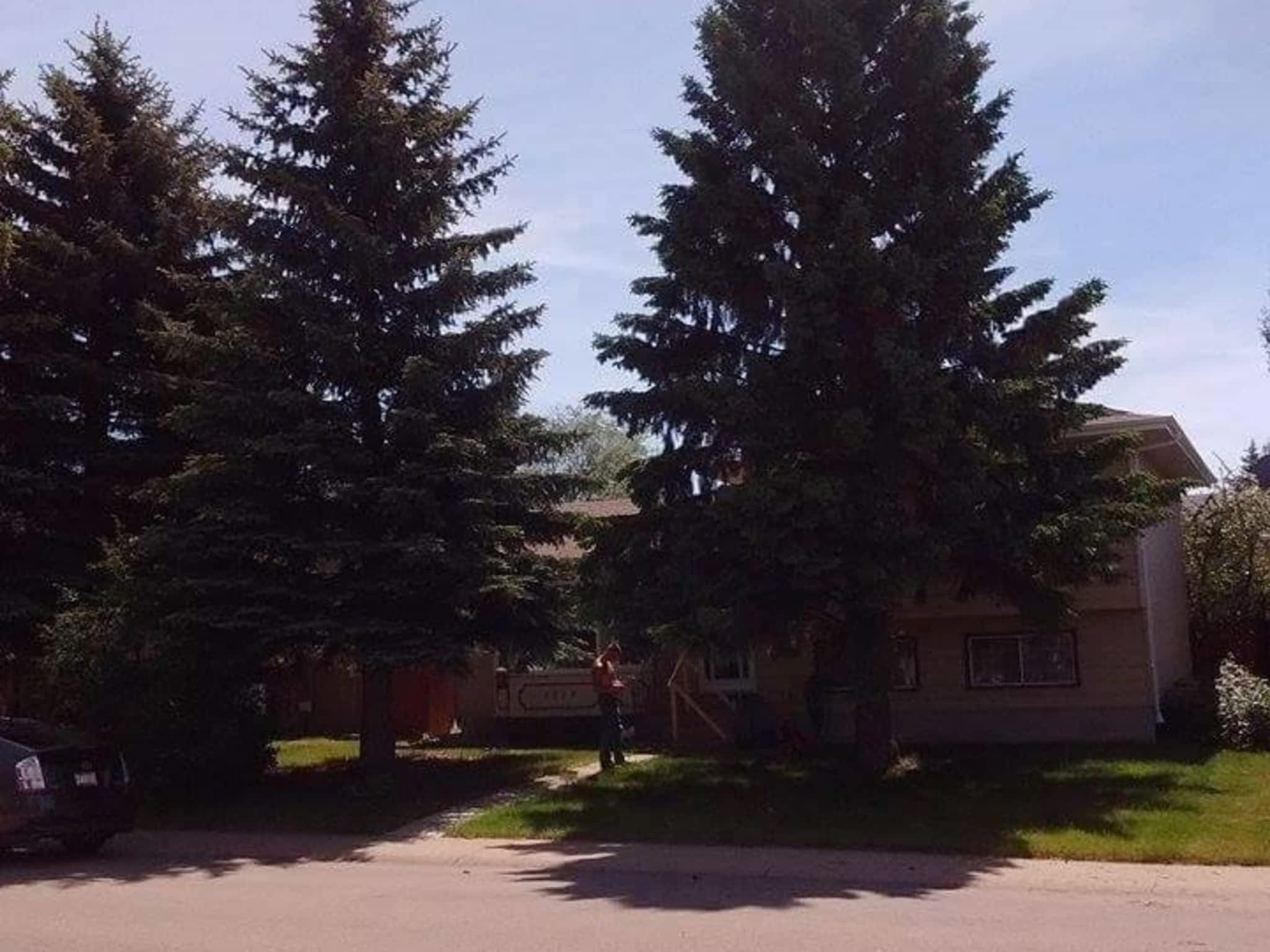 photo Tree Solutions