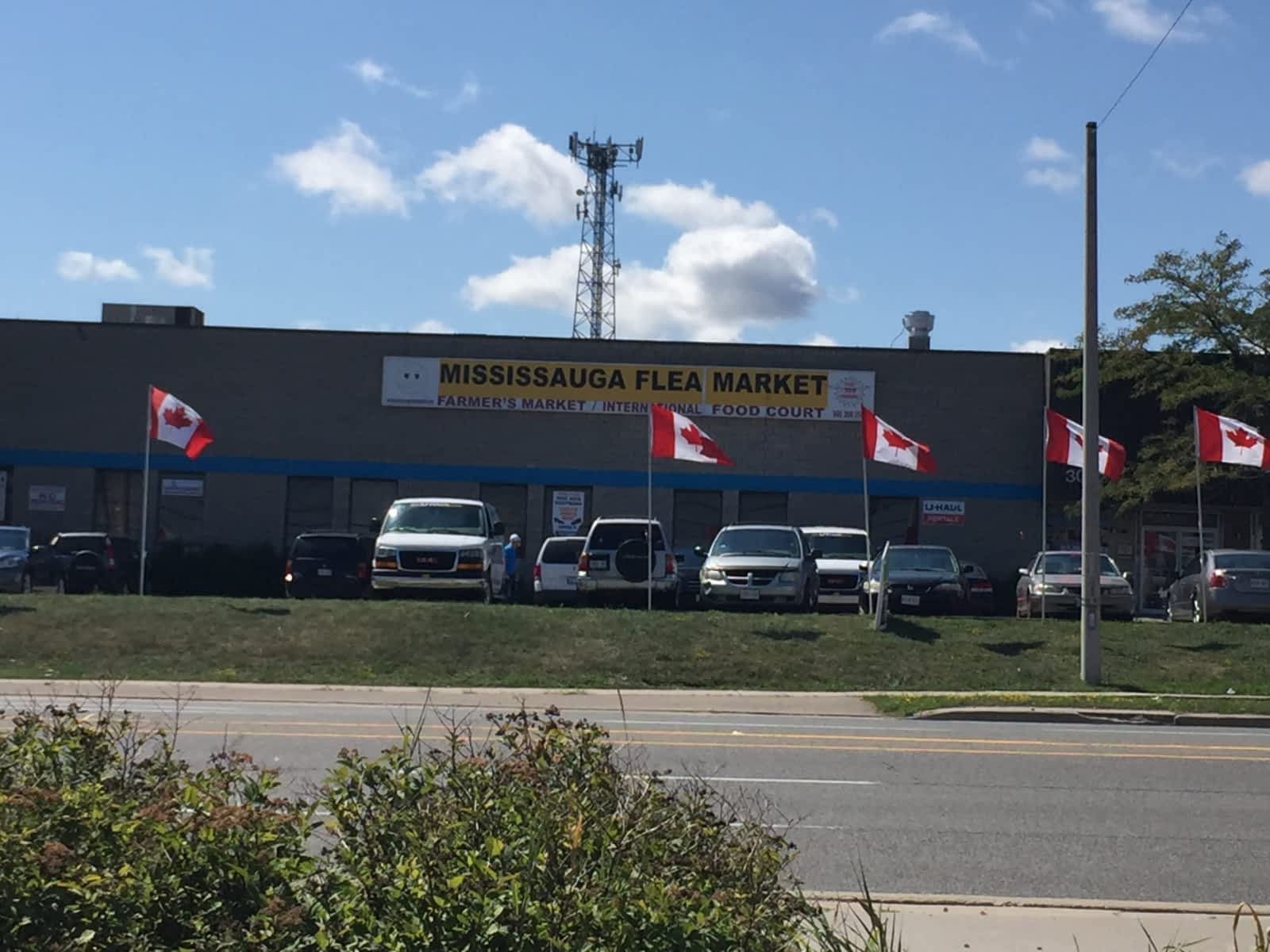 Mississauga Fleamarket  Opening Hours  3090 Mavis Rd, Mississauga, ON