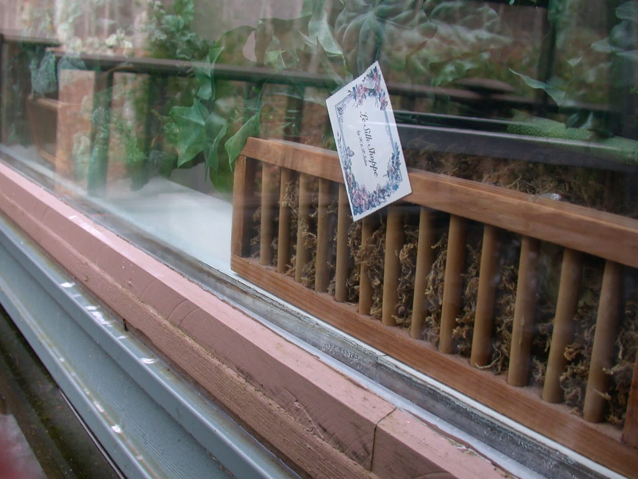 photo Priority Glass