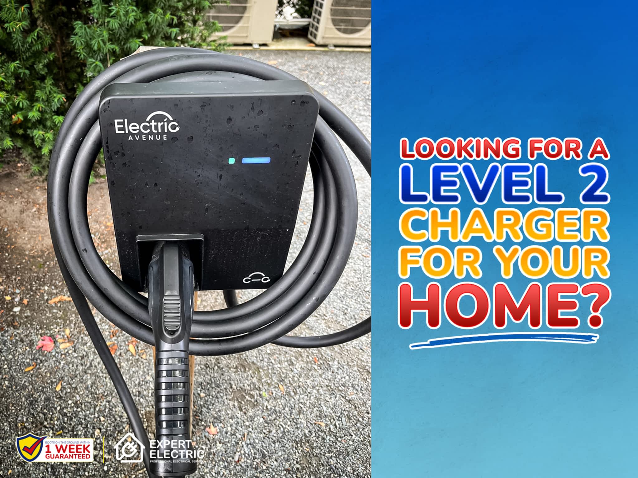 photo Expert Electric