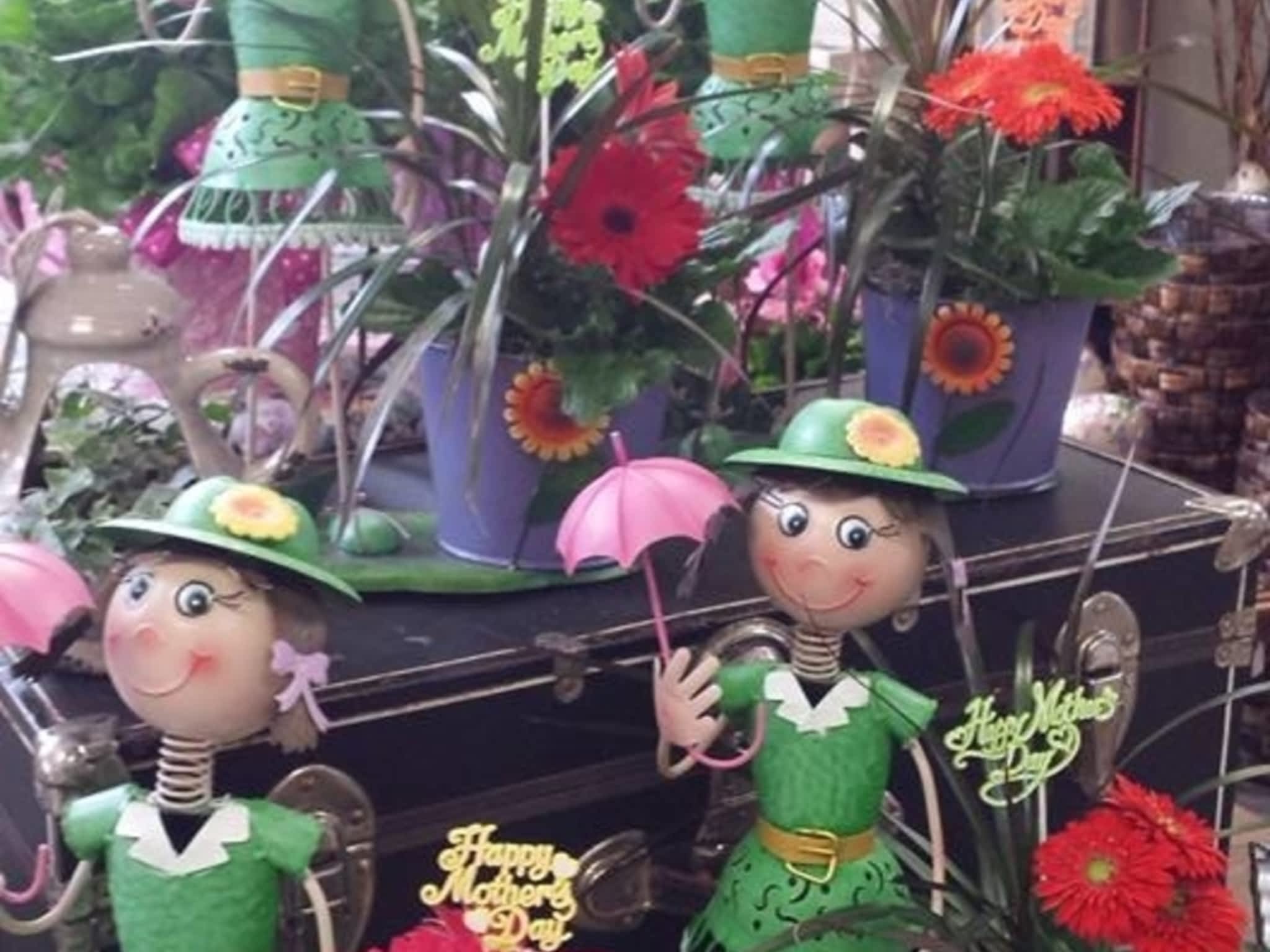 photo Blooms Flowers