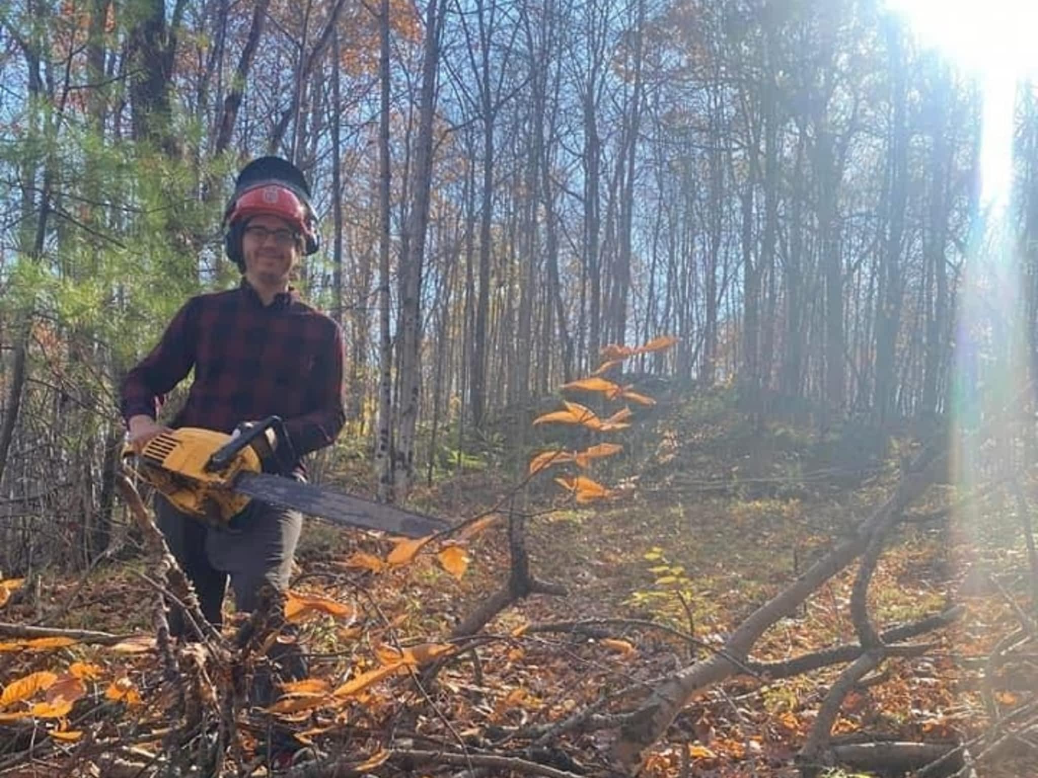 photo Tate Tree Services