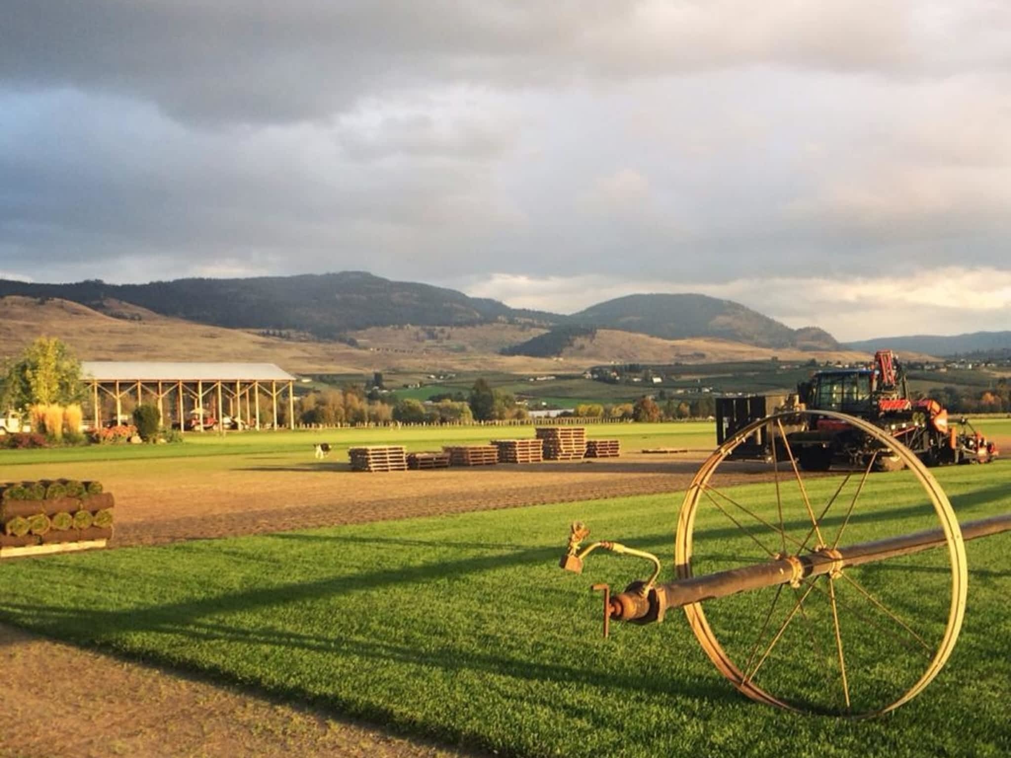 photo Macdonnell Turf Farms