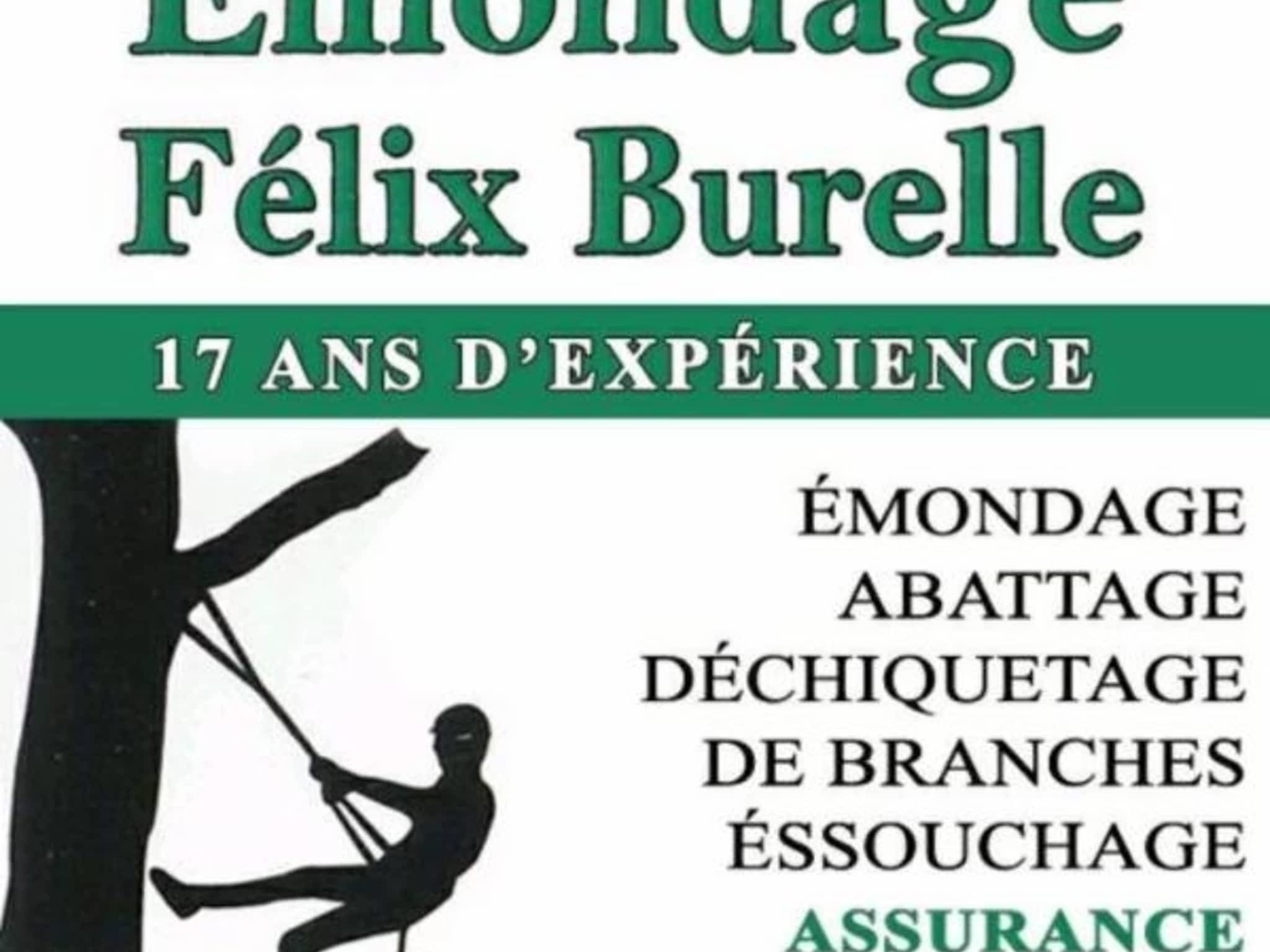 photo Émondage Félix Burelle