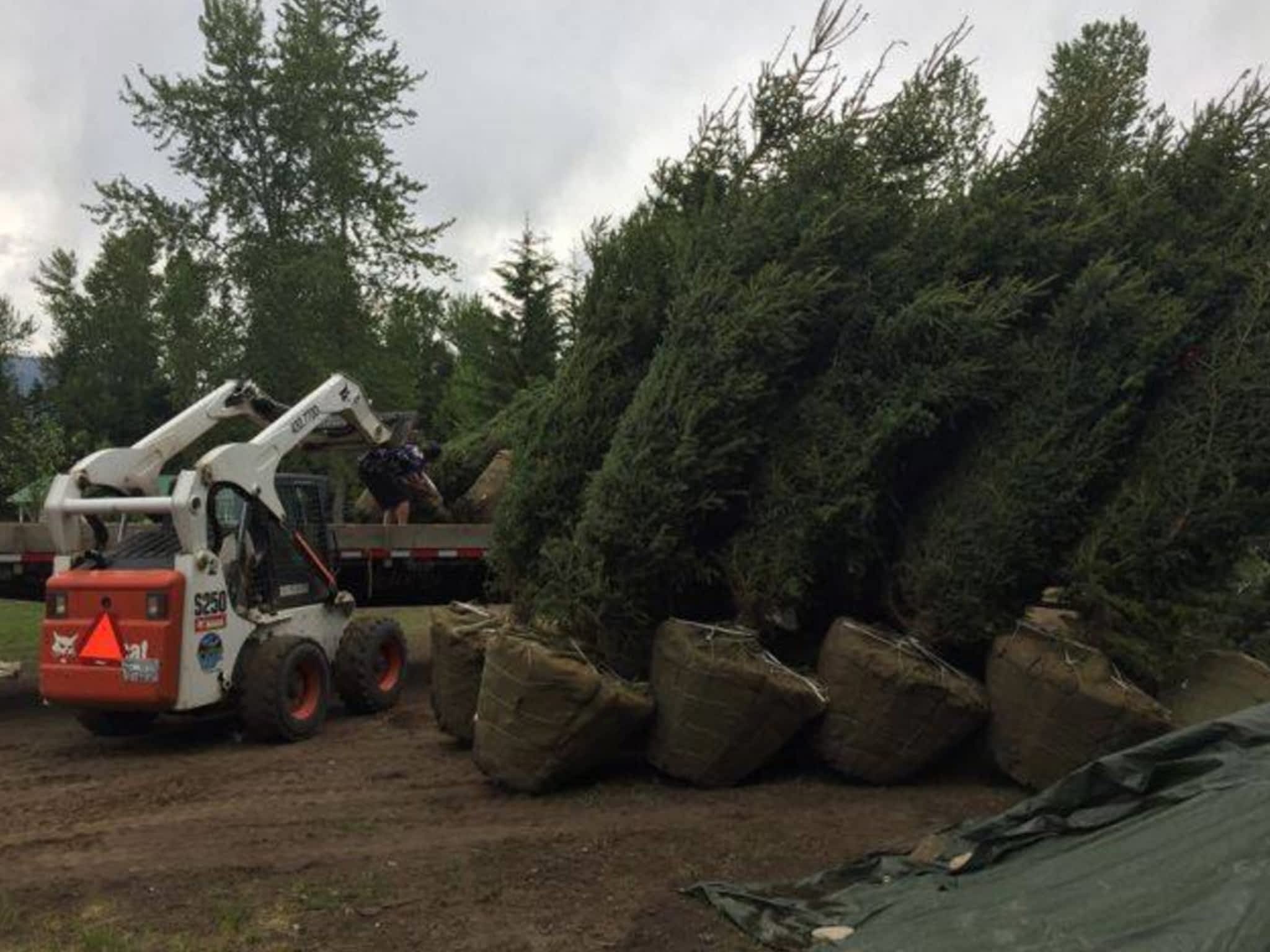 photo Valley View Contracting