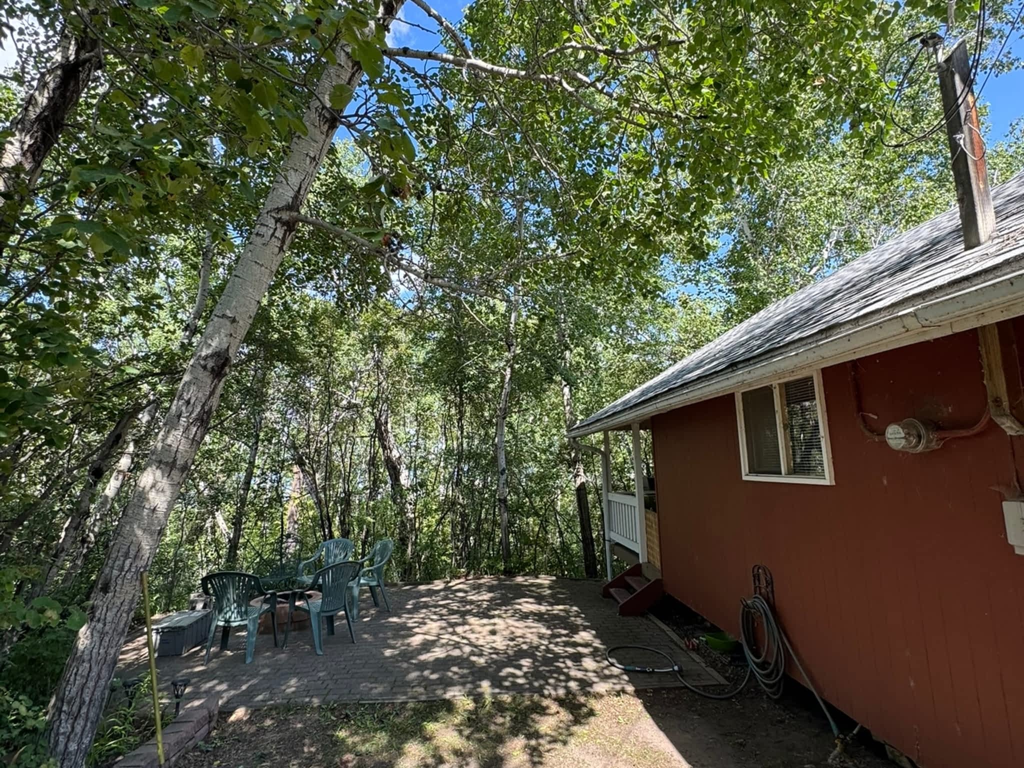 photo KAOS Inc - Tree Services