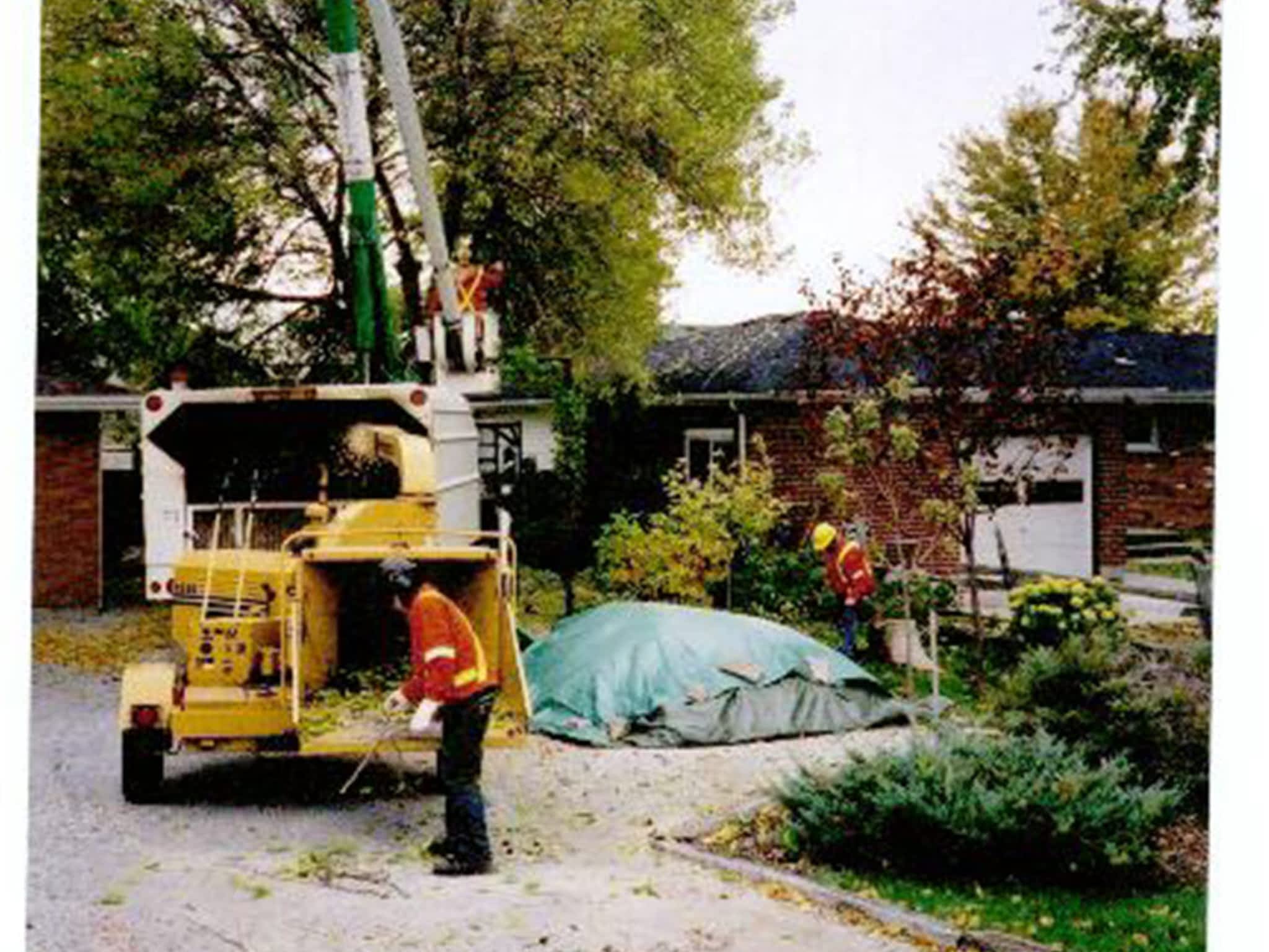 photo Landgraff Tree Service