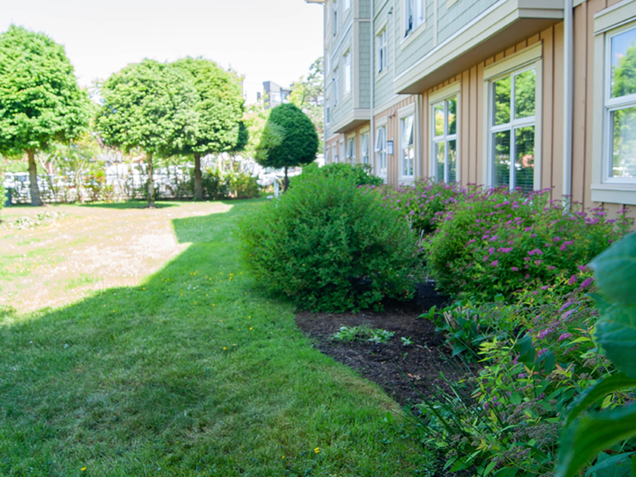 photo Shield Landscaping