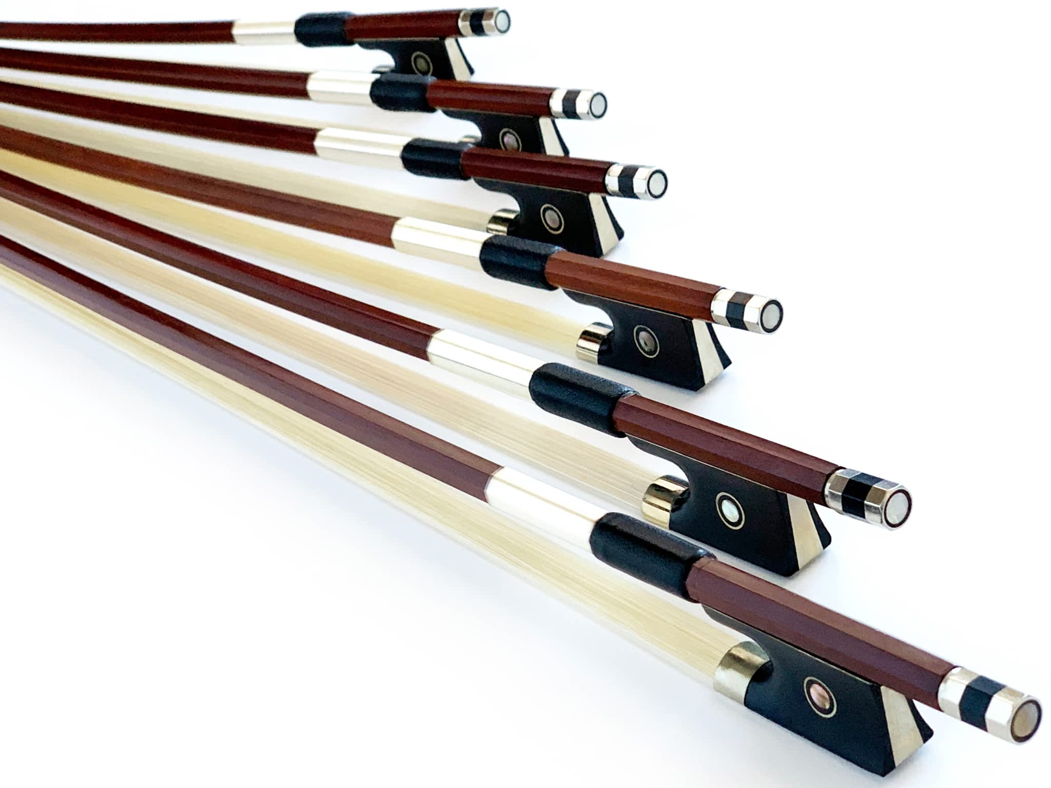 photo Fiddleheads Violin Studio