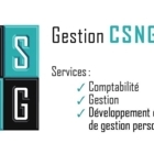 Gestion CSNG Inc - Comptables