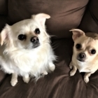 View Len's Home & Pet Care’s Oakville profile