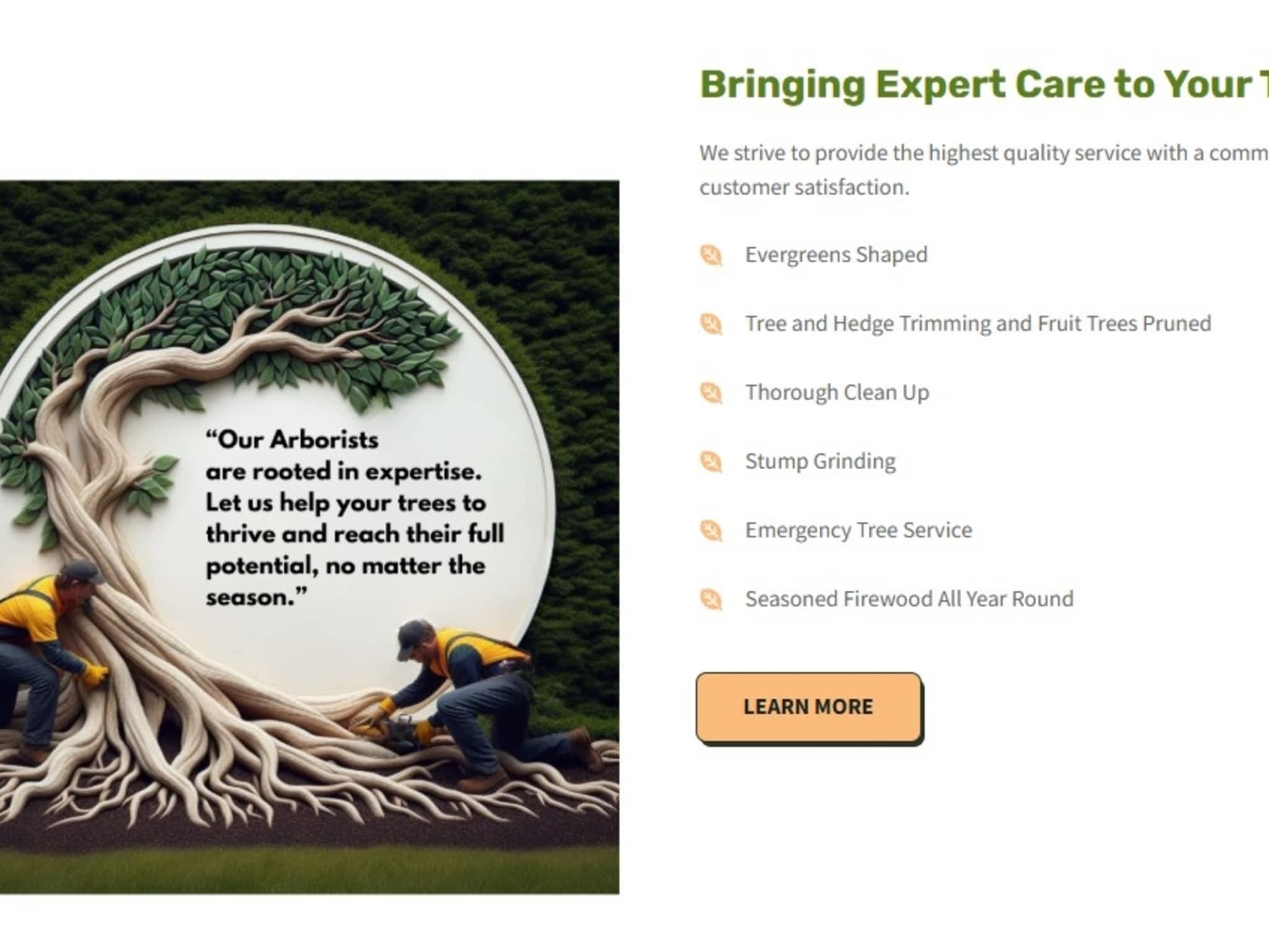 photo The Tree Man and Son