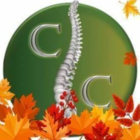 Centrum Chiropractic Clinic - Logo