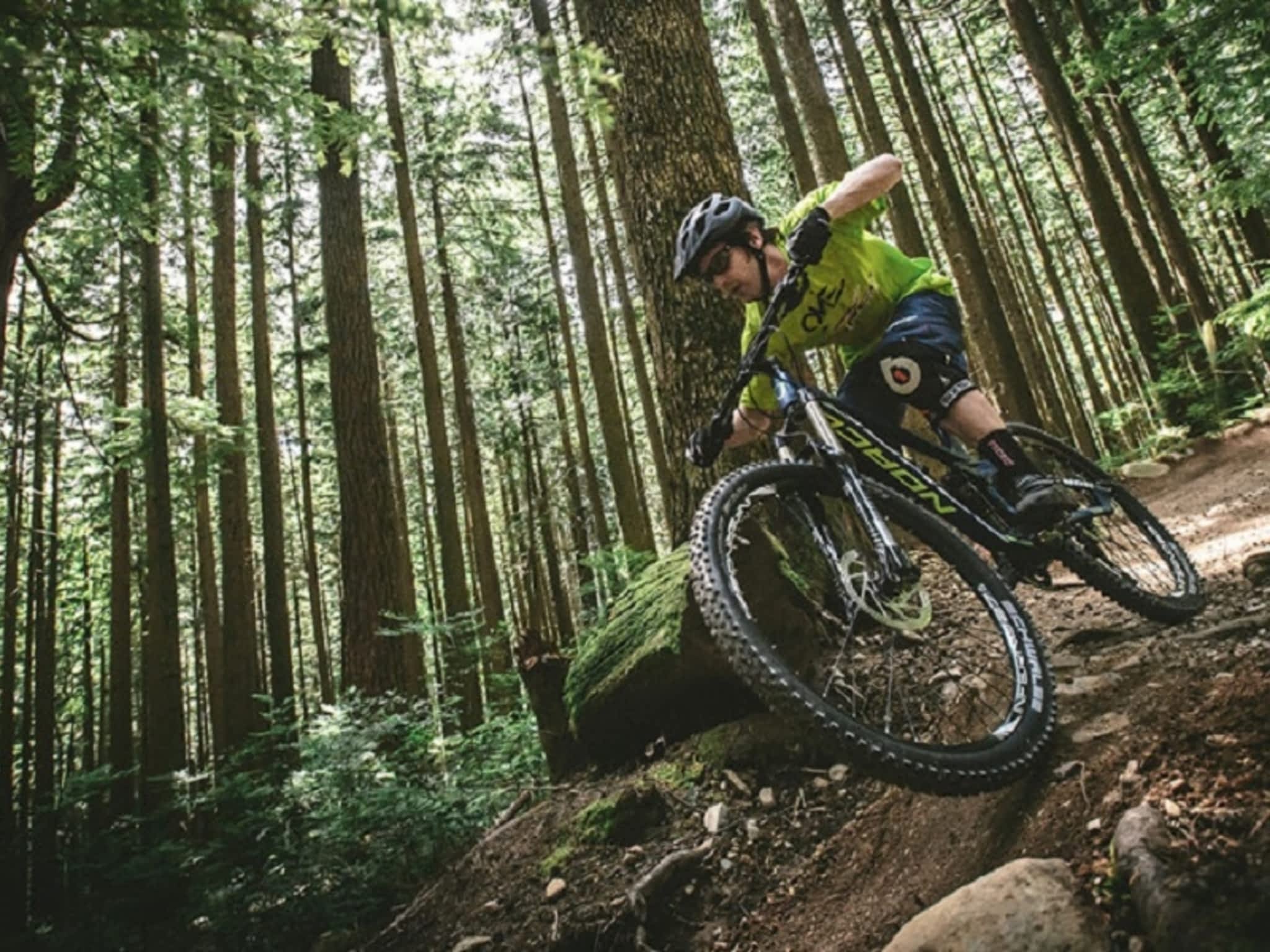 photo Elemental Cycle