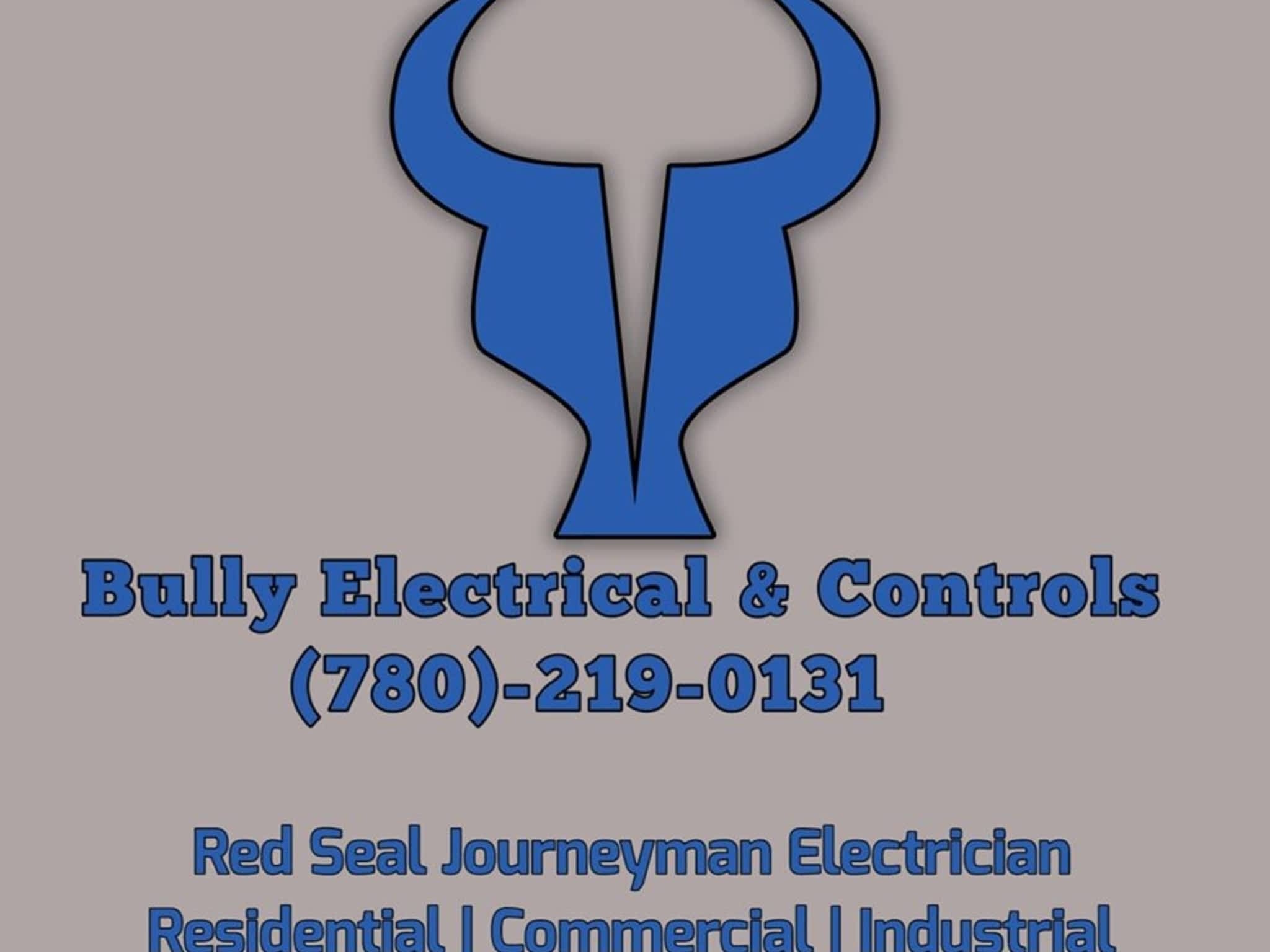 photo Bully Electrical & Controls