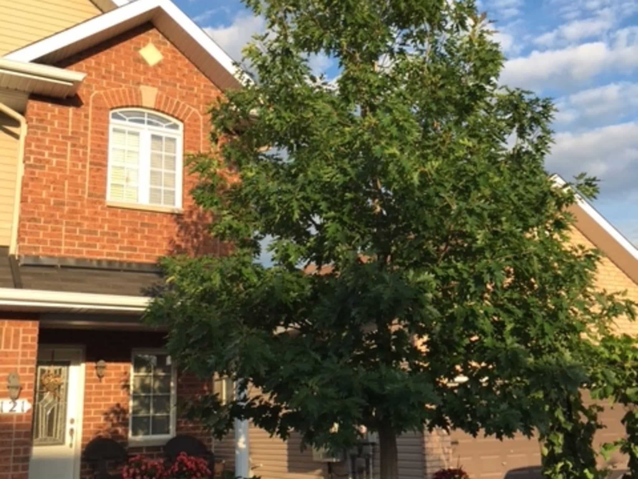 photo Deep Roots Quality Tree Services