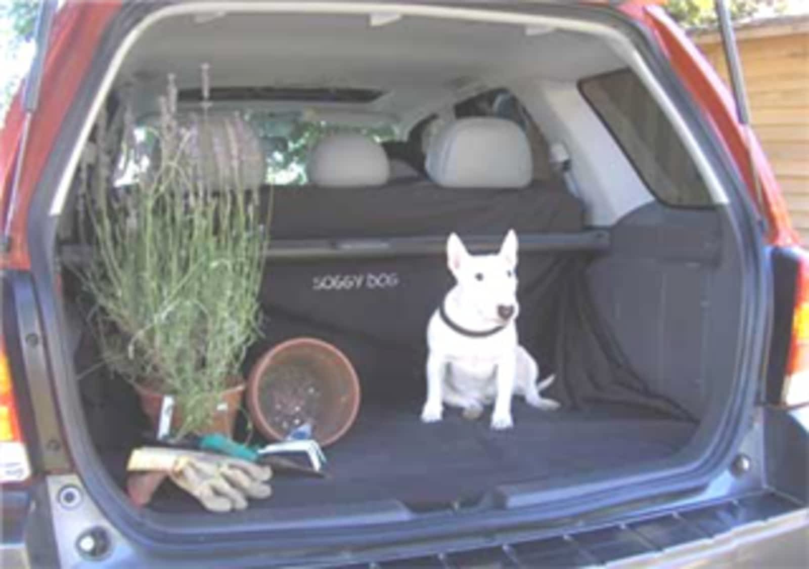 Soggy Dog Car Seat Covers 202 6860 Rumble St Burnaby Bc