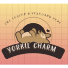 Yorkshire Terrier Puppies - Éleveurs de chiens