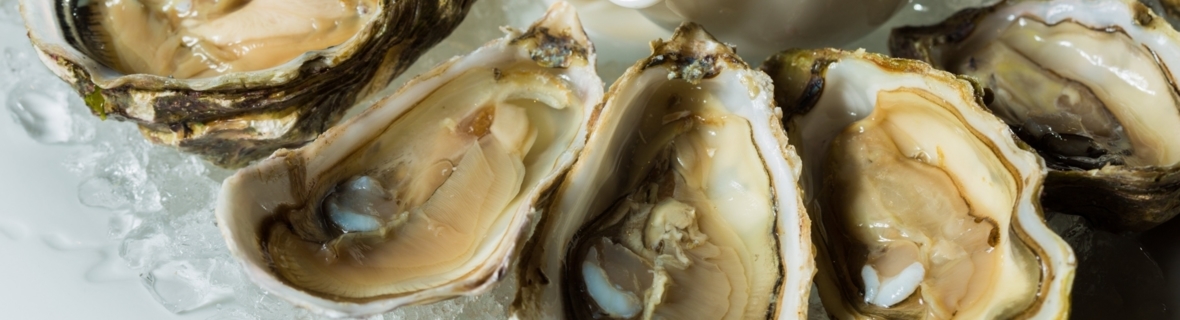 Outstanding oyster bars in Vancouver