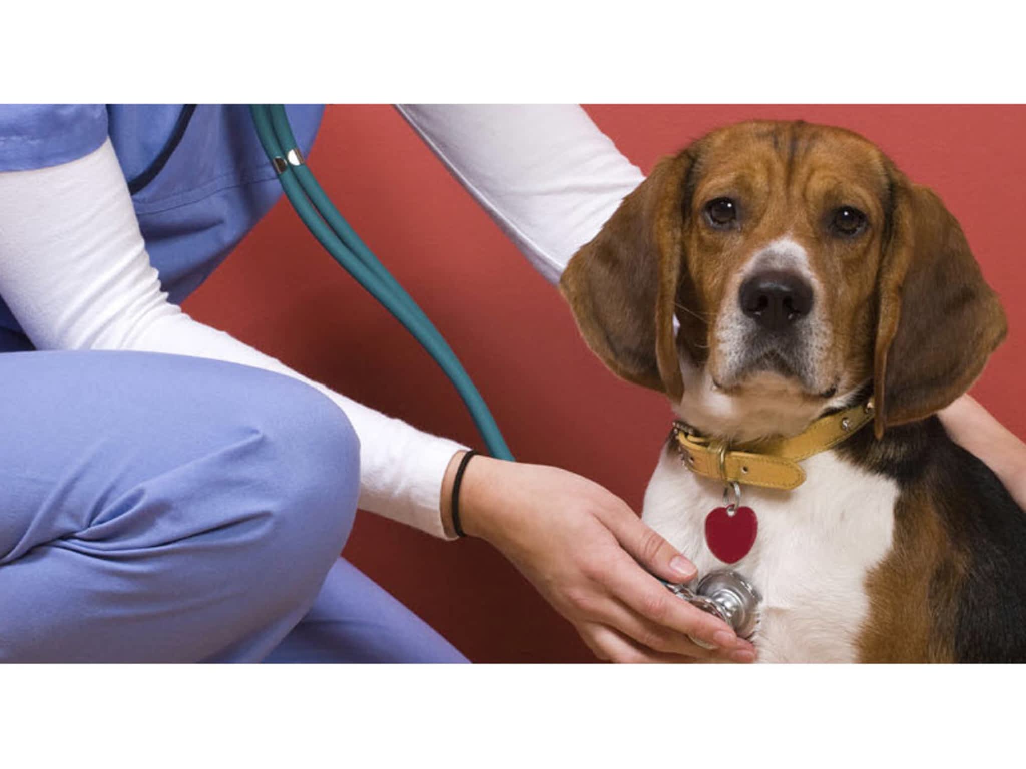 Kim's Pet Grooming Saskatoon, SK A2410 Richardson Rd Canpages