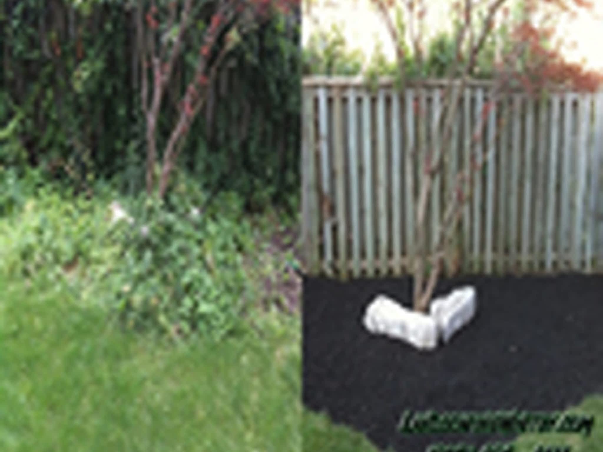 photo Whitby Landscaping & Gardening