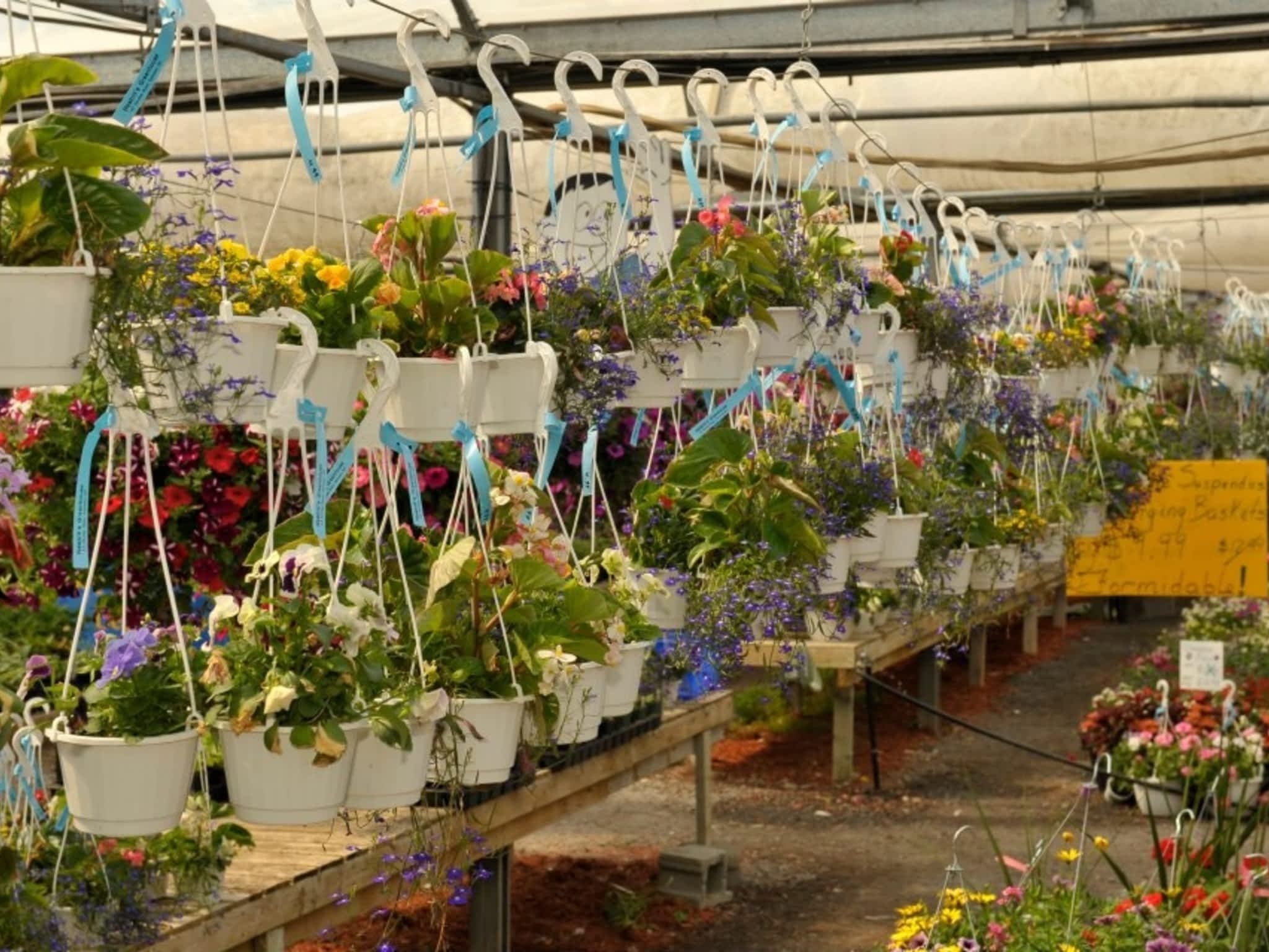 photo Nesbitt's Greenhouses