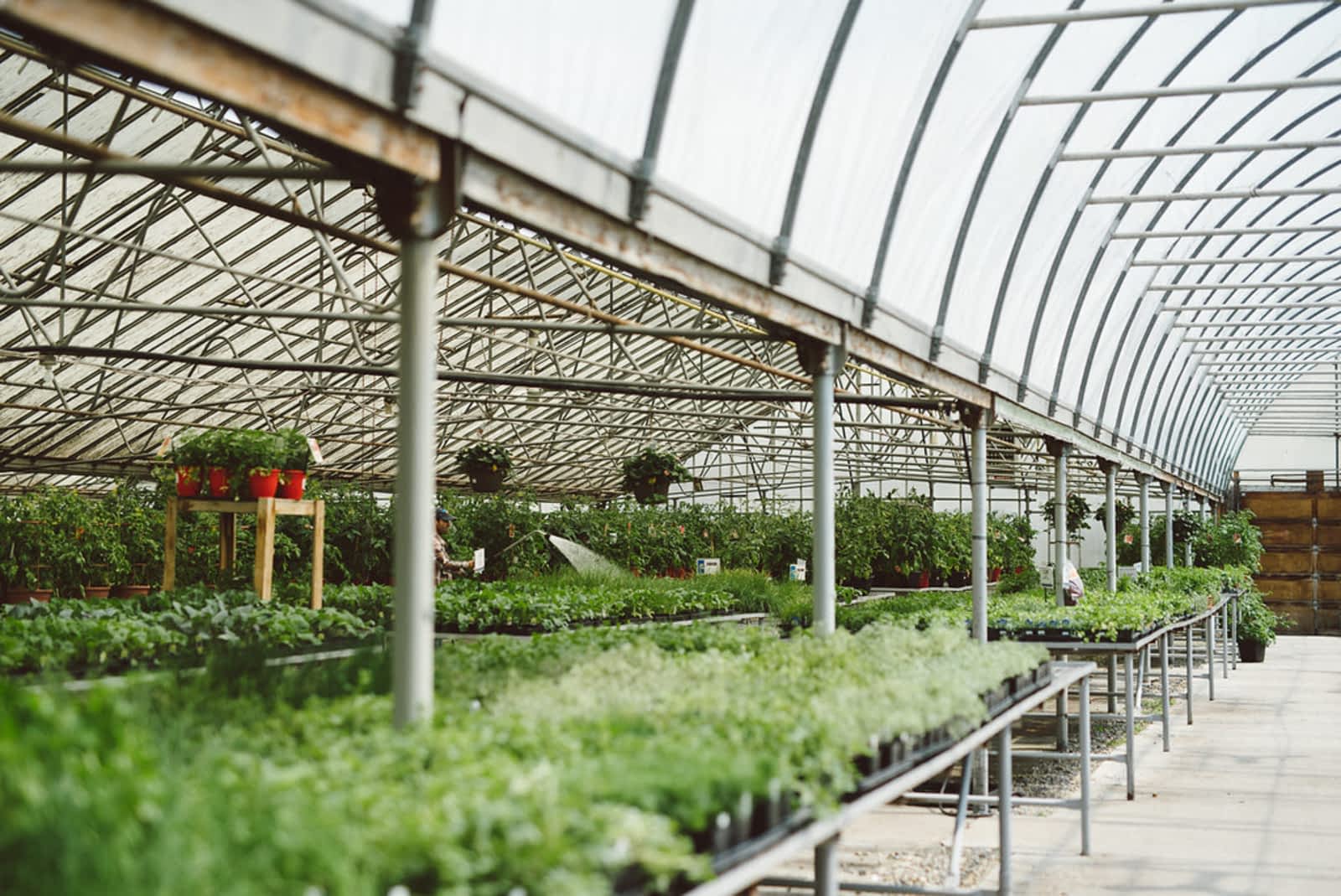 Golden Acre Garden Centre Opening Hours Ab