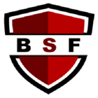 Blink Security Force - Logo