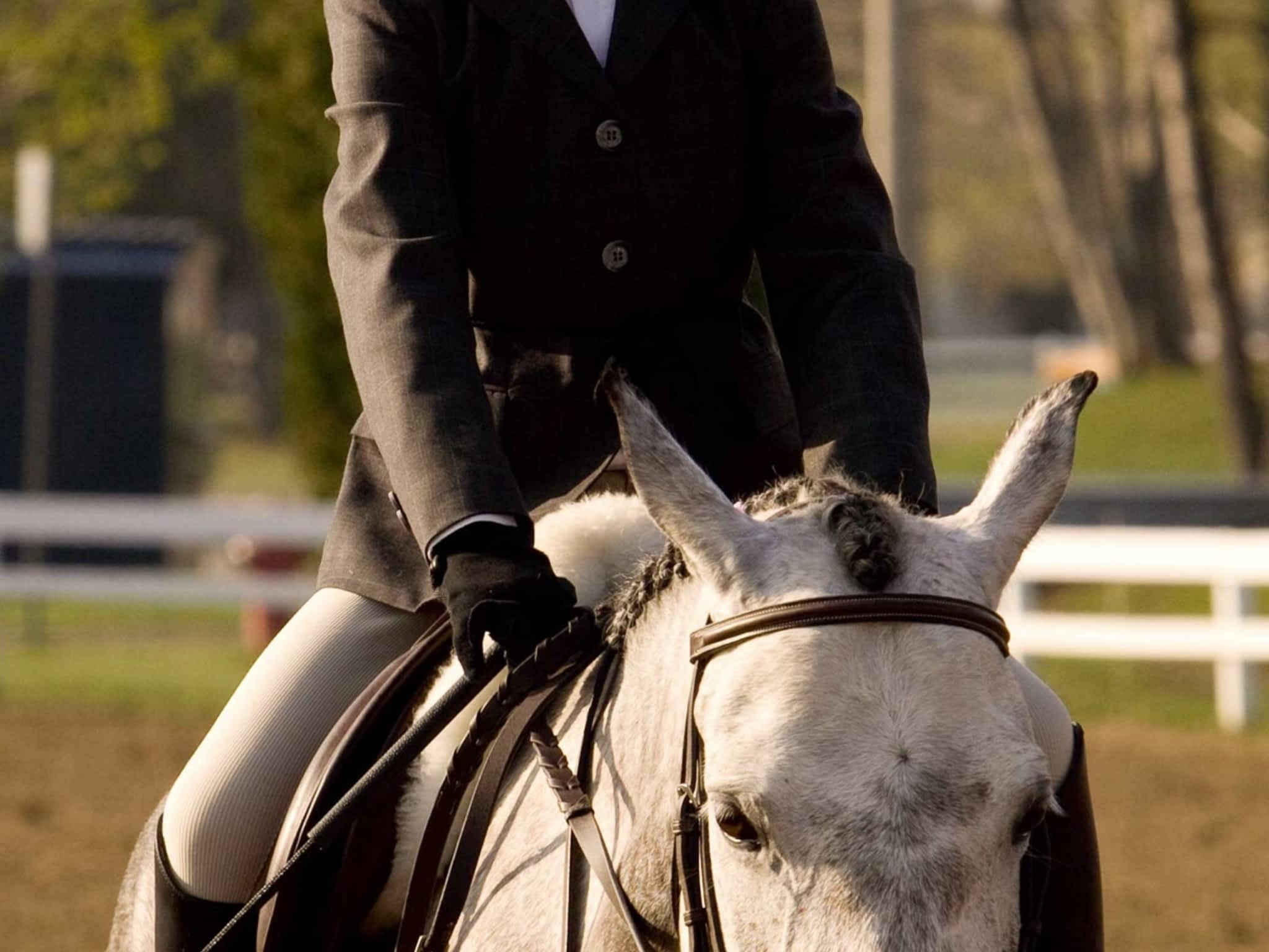 photo Centre Equestre Mirabel