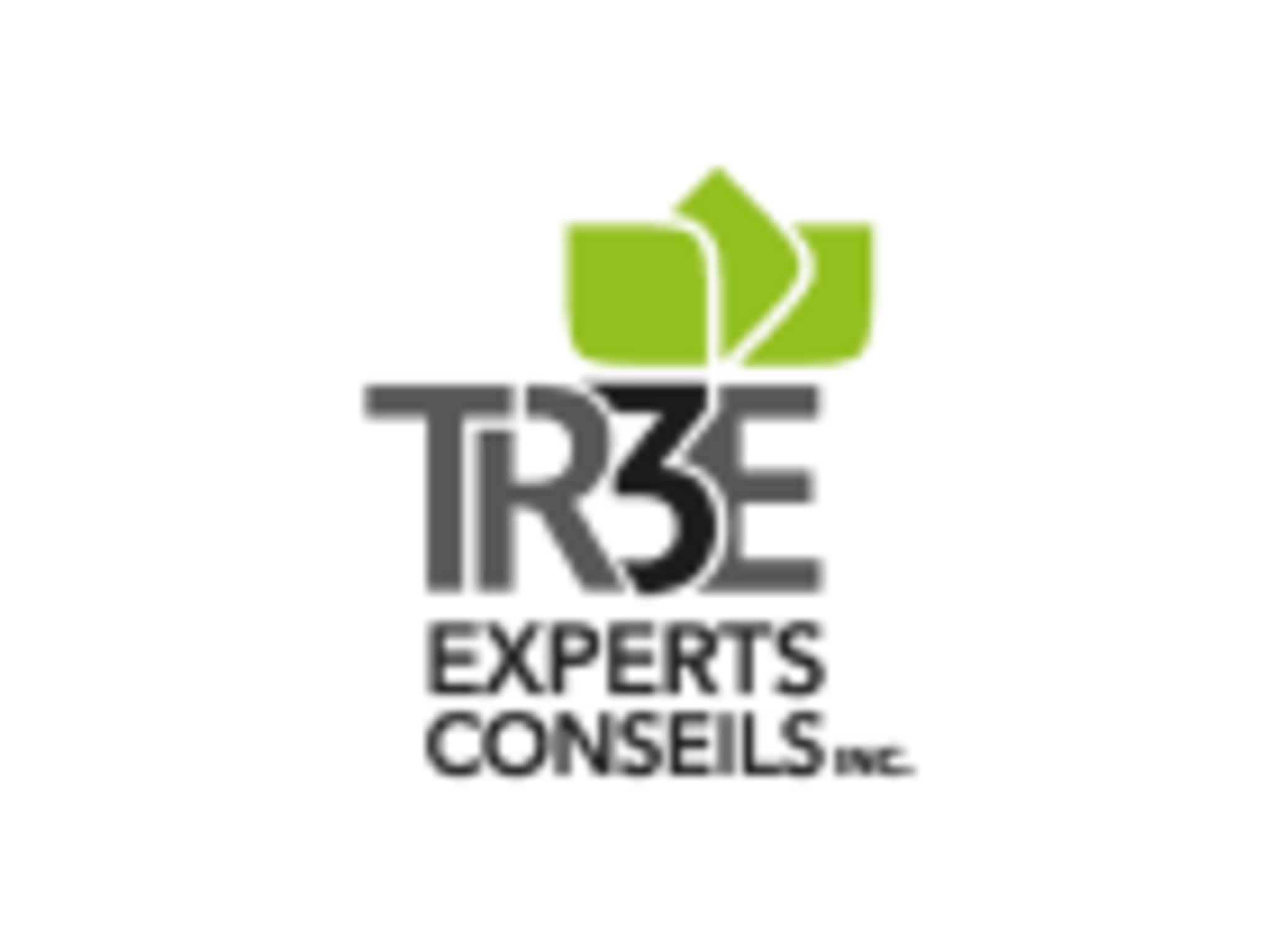 photo TR3E Experts-Conseils Inc