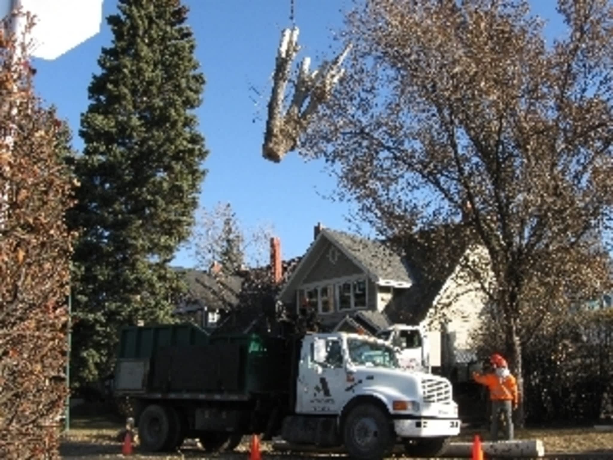 photo ArborCare Tree Service
