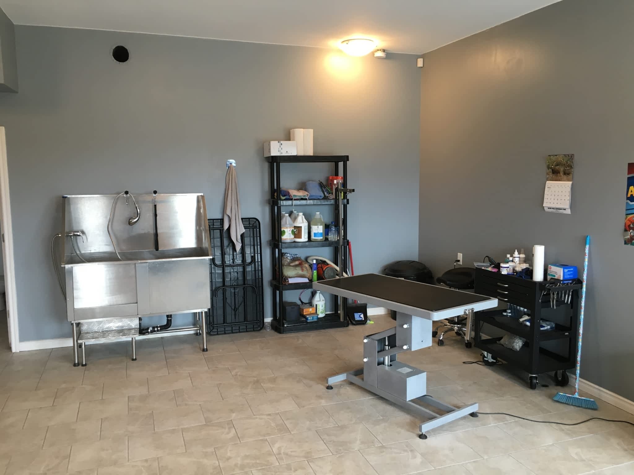 photo Spa For Paws Pet Grooming