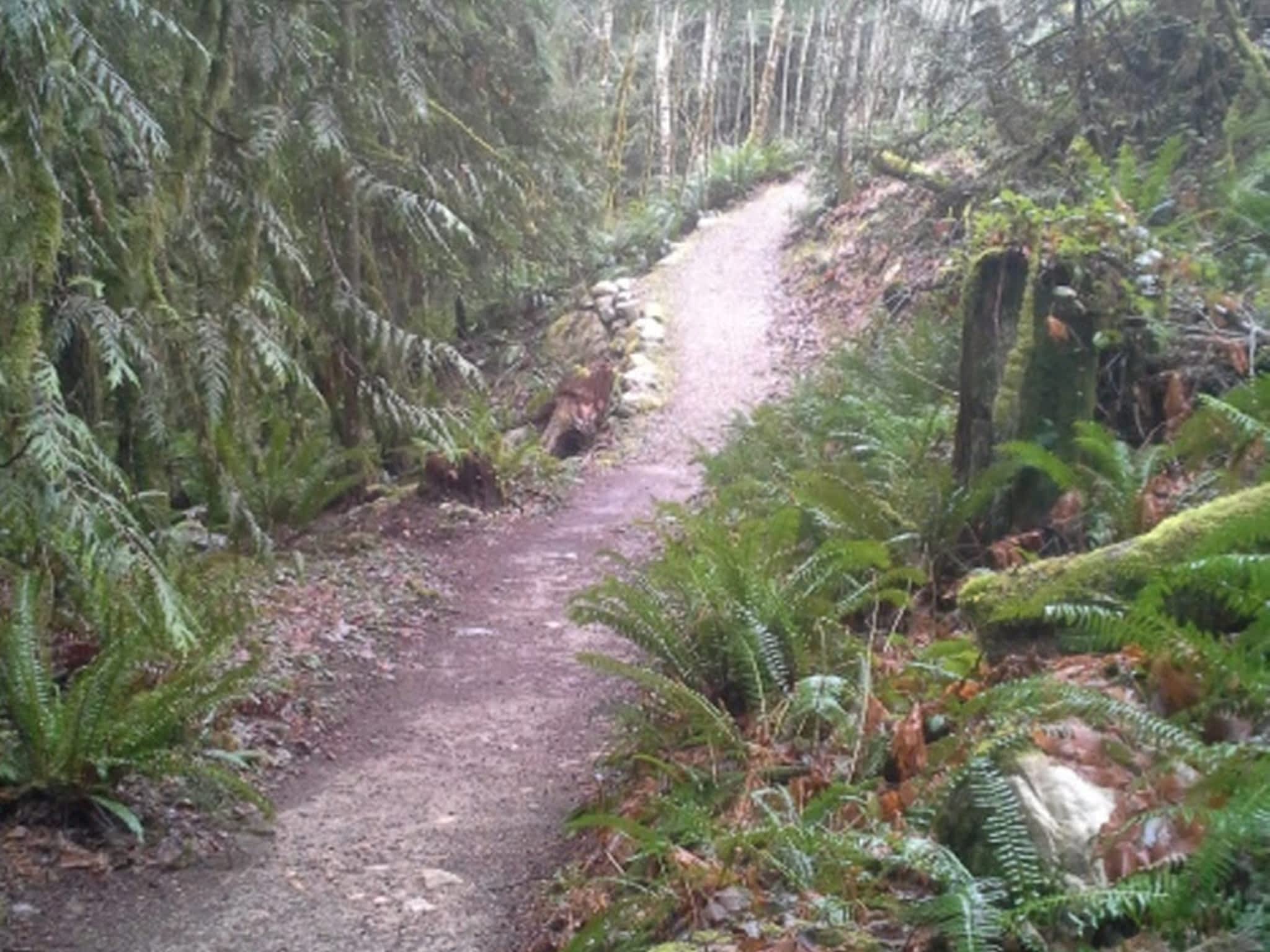 photo Small World Excavating